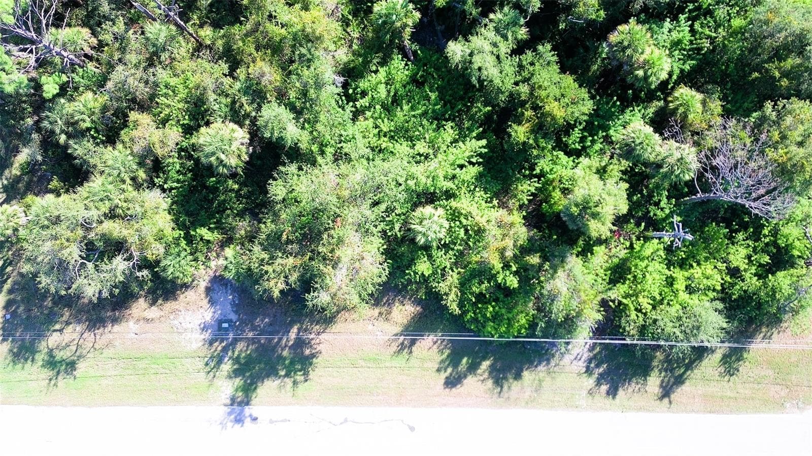 Land at 197 COUGAR WAY, ROTONDA WEST, photo 6 of 9