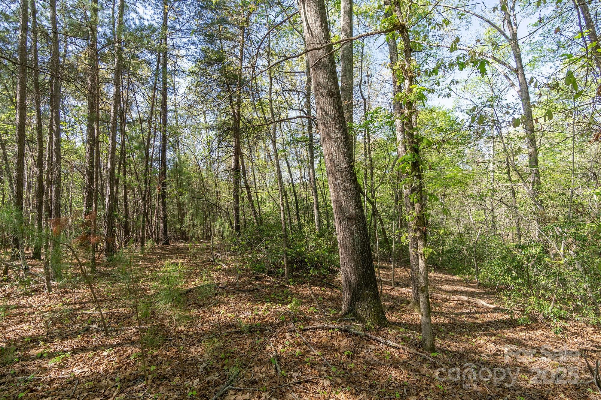 Lot at V/L Easy Street, Lake Lure, photo 2 of 34