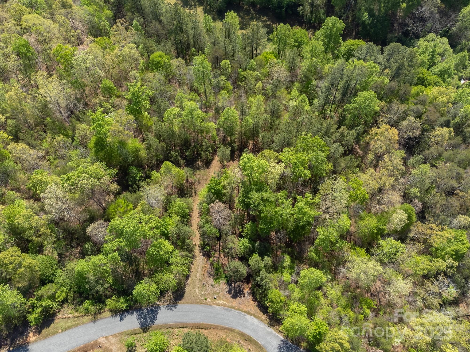 Lot at V/L Easy Street, Lake Lure, photo 3 of 34