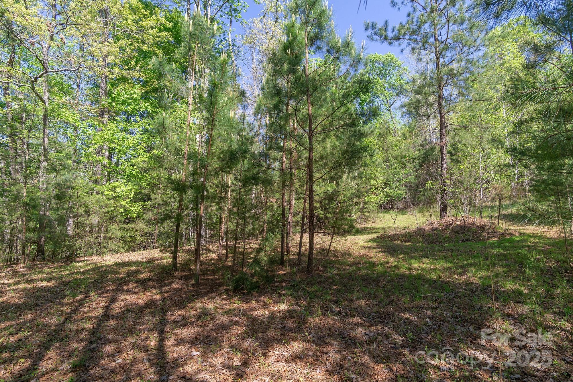 Lot at V/L Easy Street, Lake Lure, photo 4 of 34