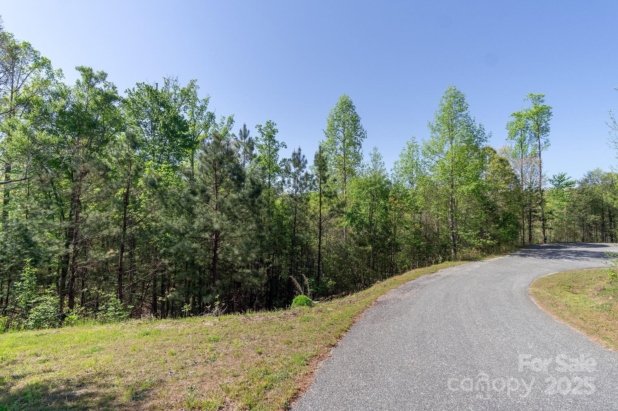 Lot at V/L Easy Street, Lake Lure, photo 5 of 34