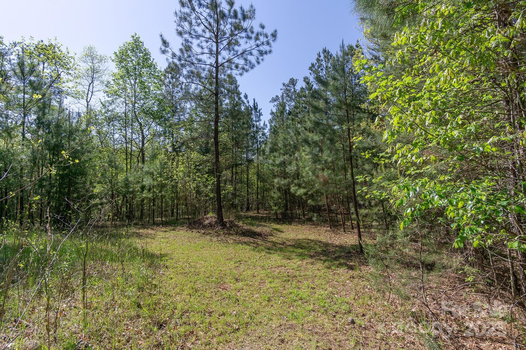 Lot at V/L Easy Street, Lake Lure, photo 7 of 34