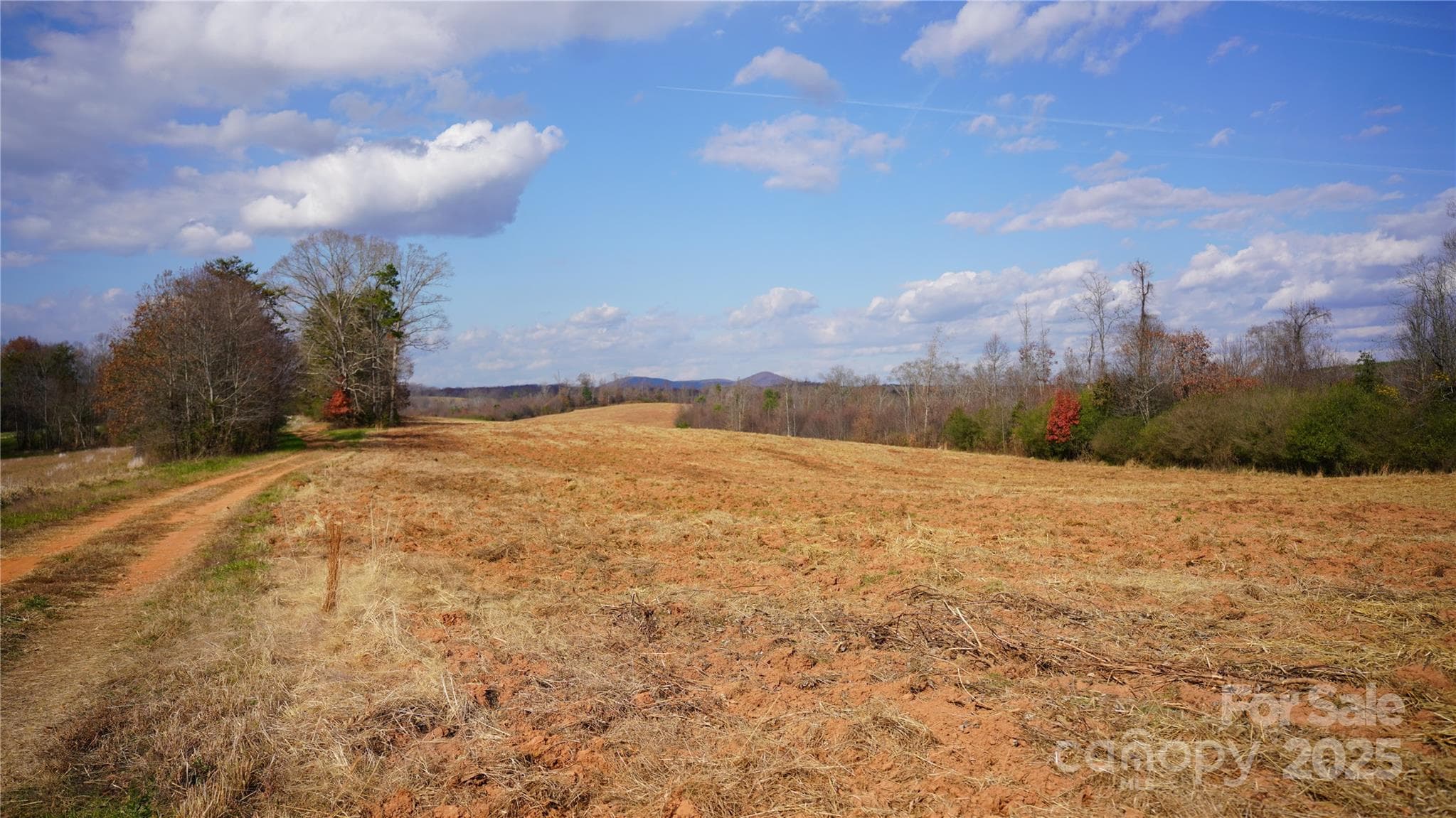 000 Old Shelby Road