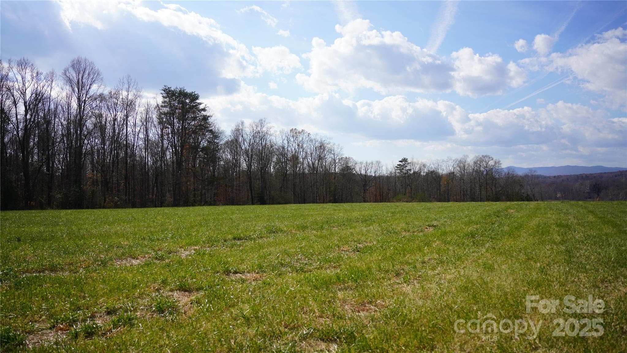 Farm at 000 Old Shelby Road, Vale, photo 3 of 48