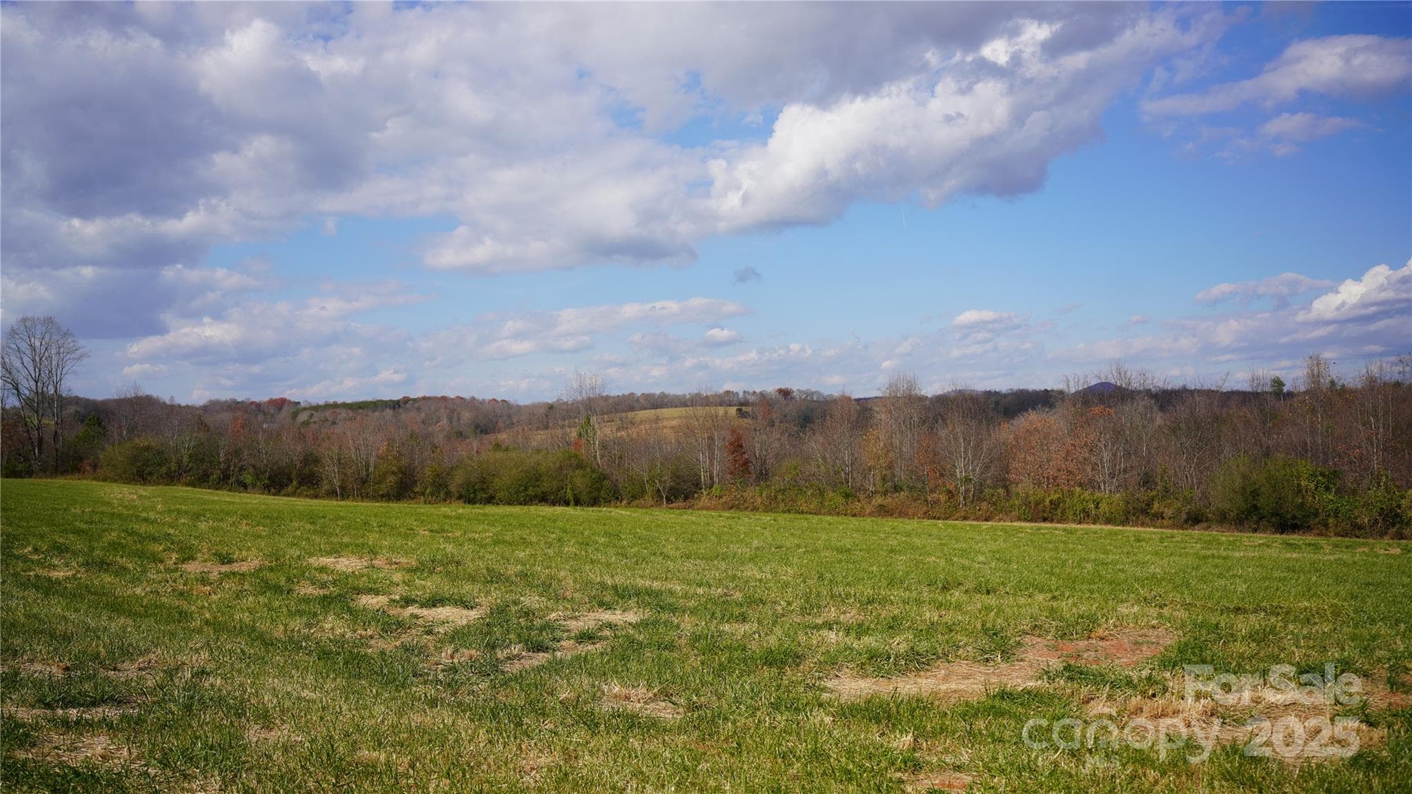 Farm at 000 Old Shelby Road, Vale, photo 5 of 48