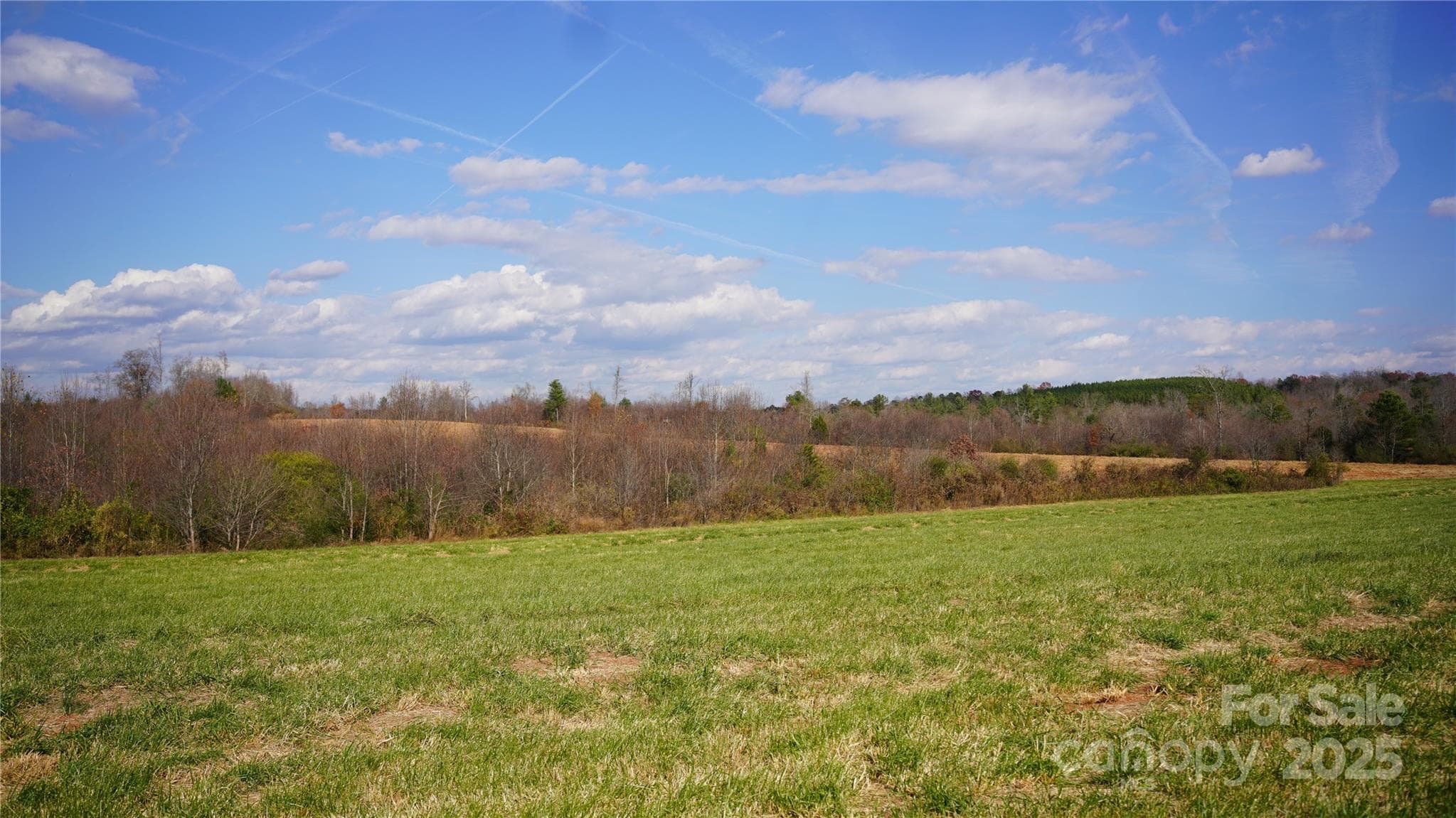 Farm at 000 Old Shelby Road, Vale, photo 6 of 48