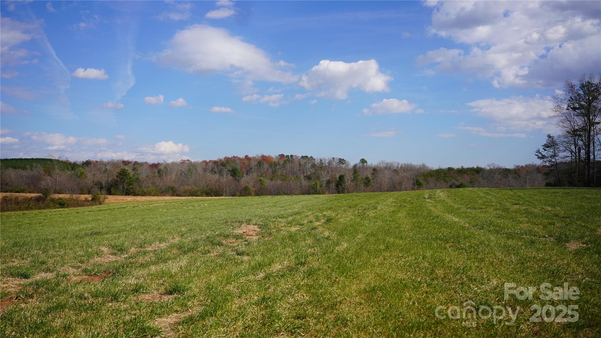 Farm at 000 Old Shelby Road, Vale, photo 7 of 48