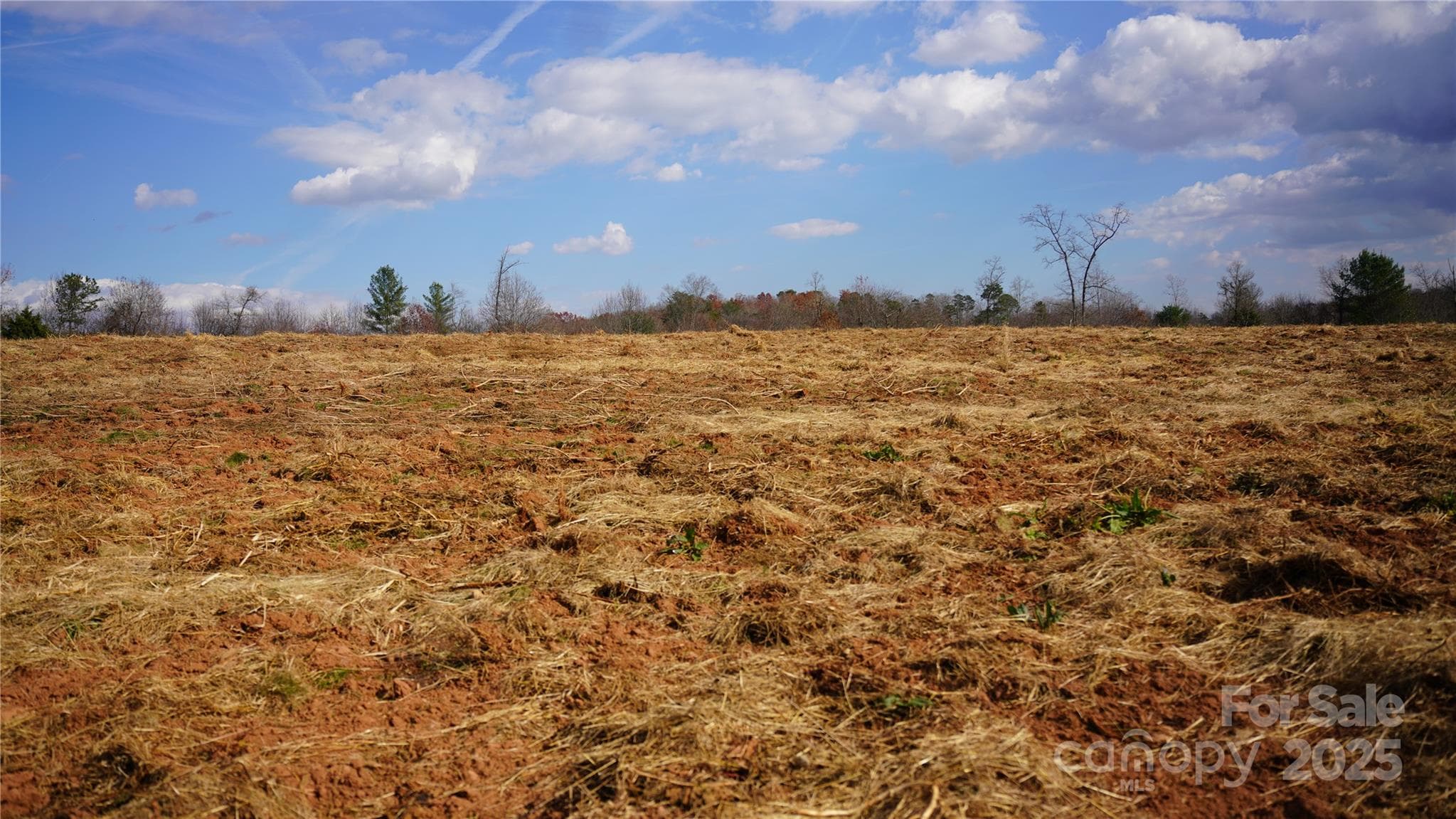 Farm at 000 Old Shelby Road, Vale, photo 16 of 48