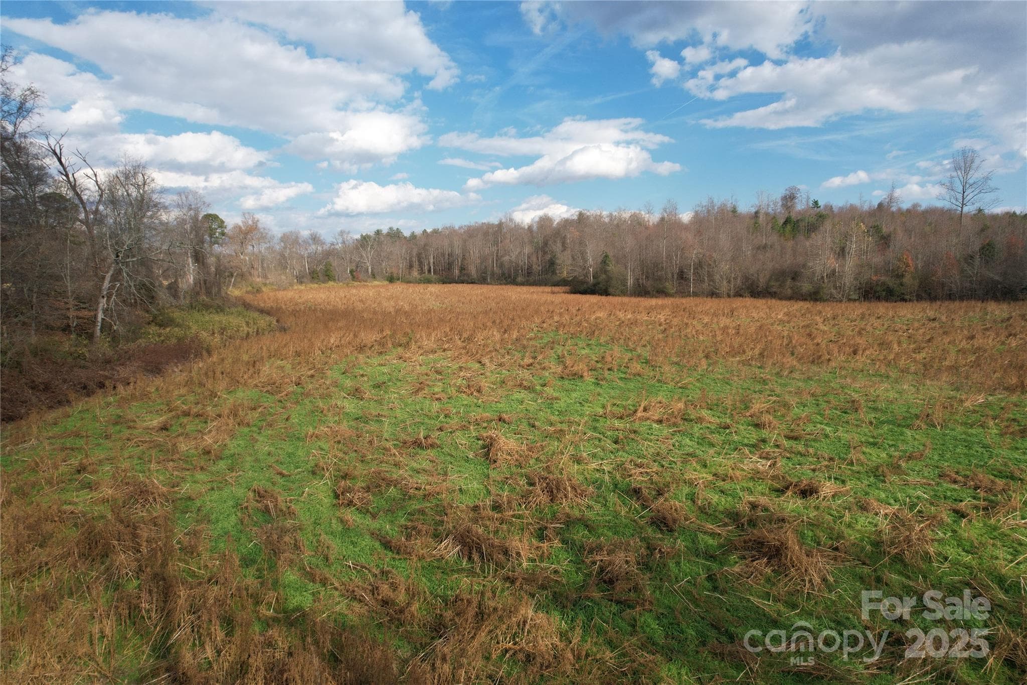 Farm at 000 Old Shelby Road, Vale, photo 36 of 48