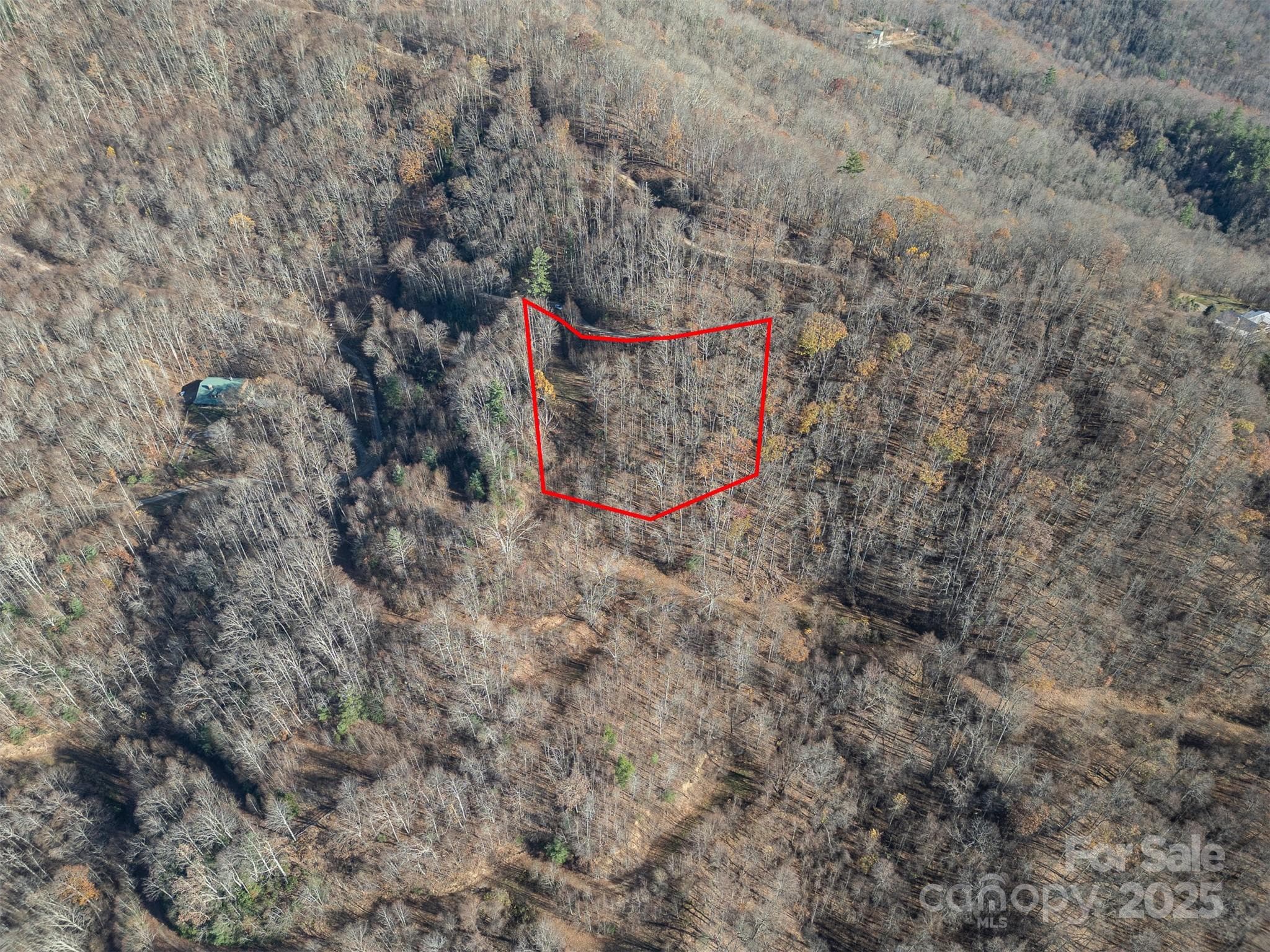 View of lot with approximate lot lines showing location relative to road - Clyde