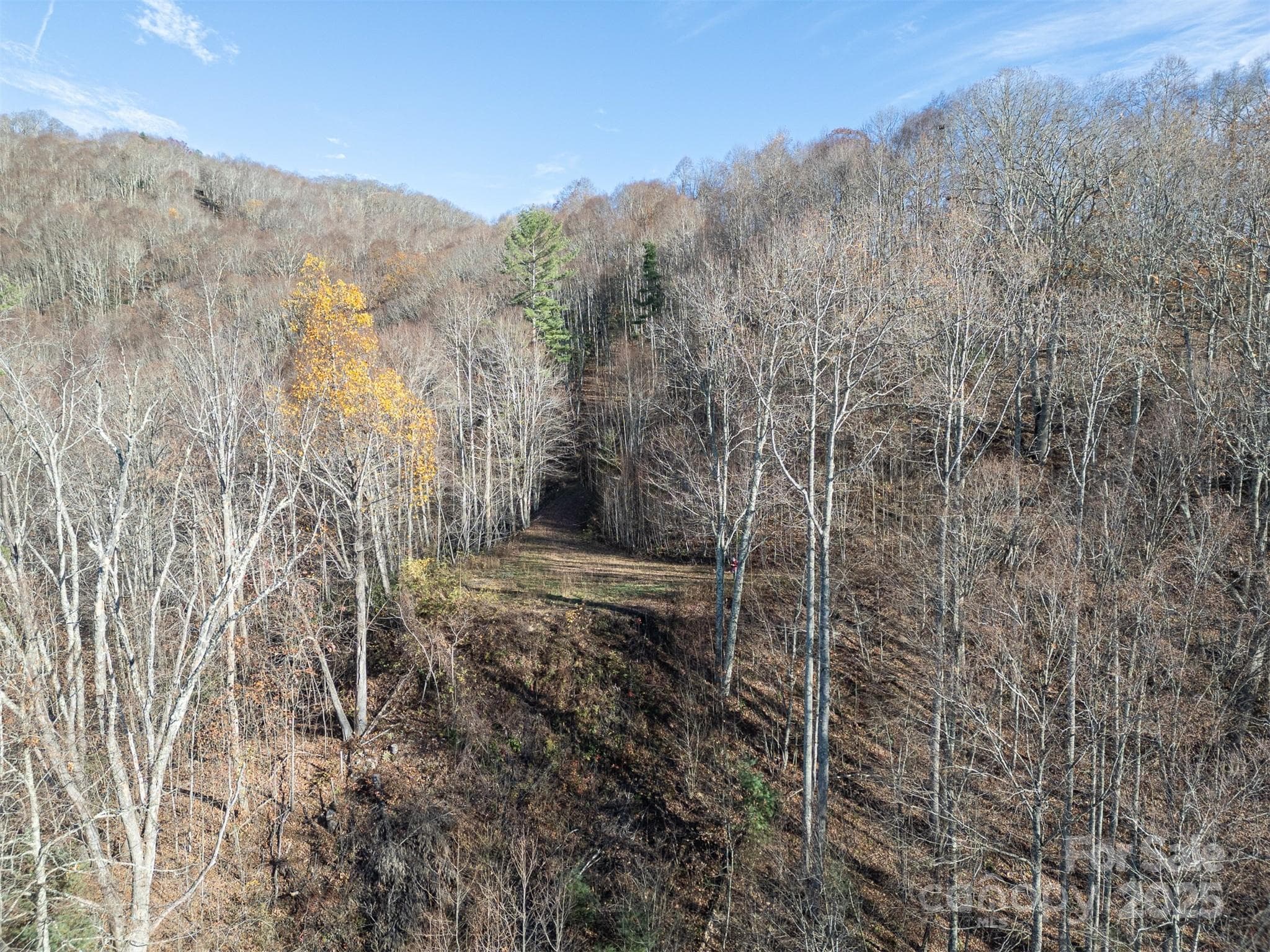 View looking back towards cleared section of lot - Clyde
