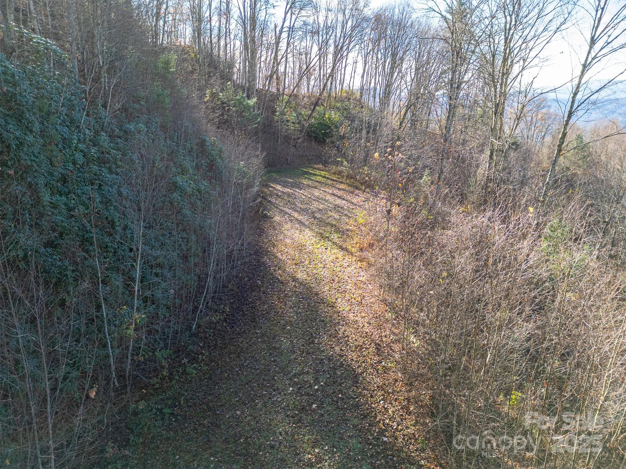 Cleared driveway access to lot - Clyde