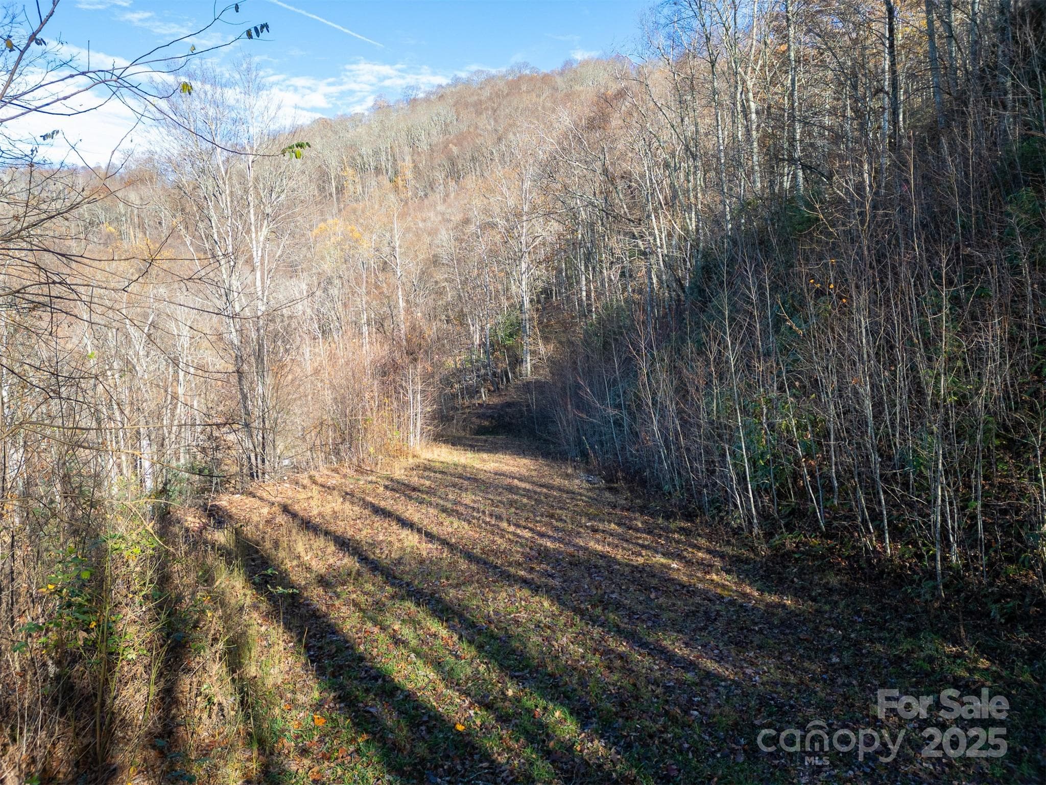 View of cleared driveway access to lot - 0000 Hyacinth Drive, Clyde