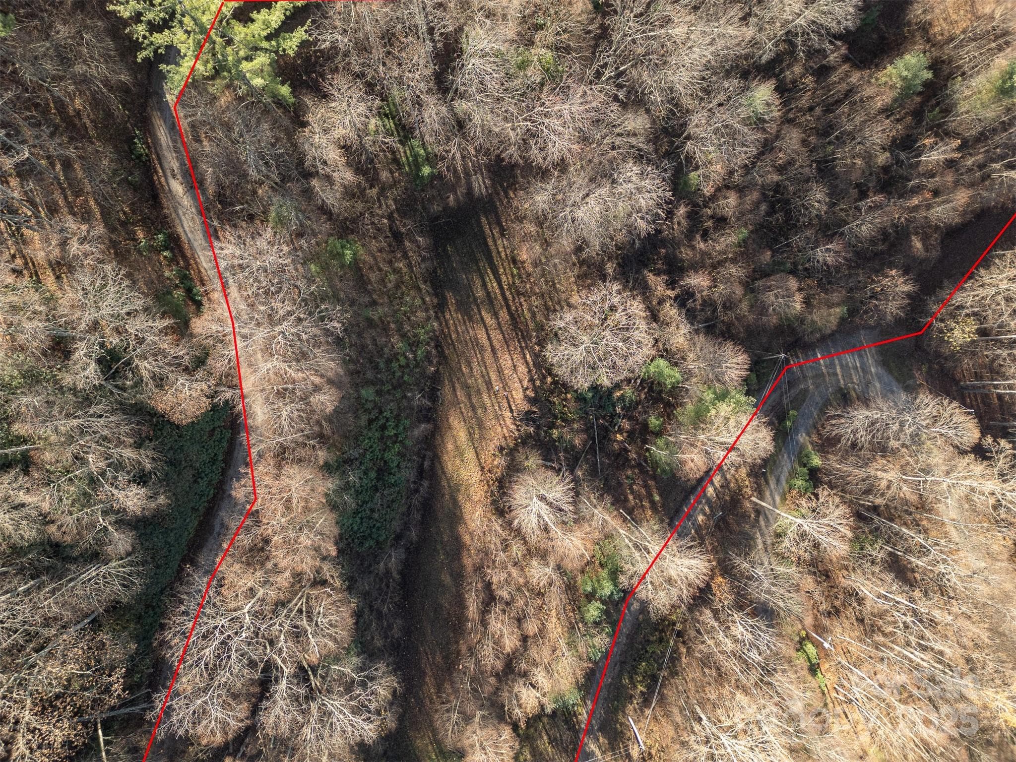 Aerial view of cleared portion of lot with approximate lot lines - 0000 Hyacinth Drive, Clyde