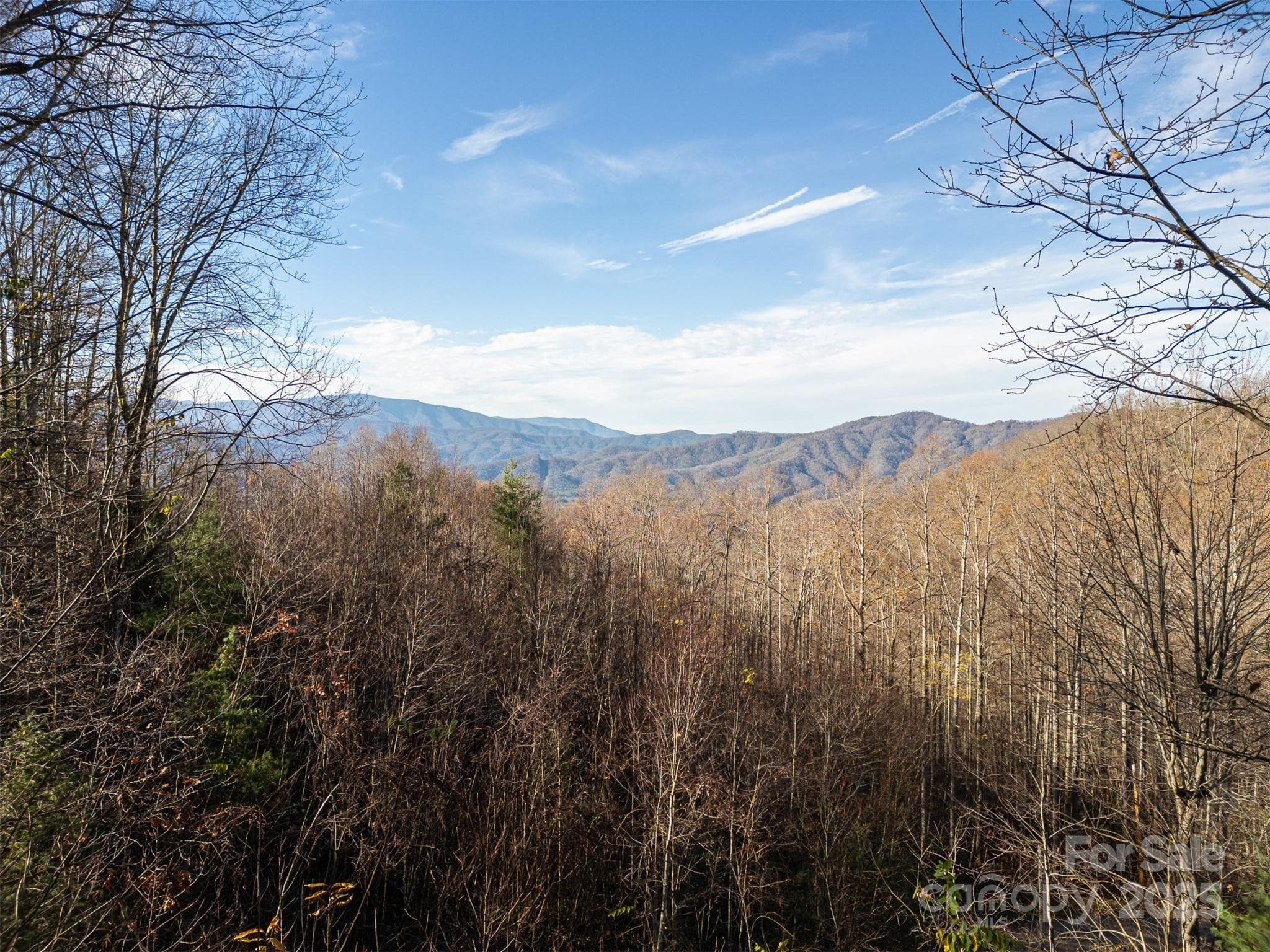 Amazing views of mountain peaks! - Clyde