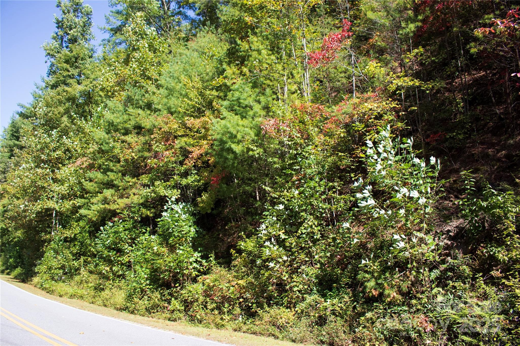 Lot at Brevard, photo 2 of 10