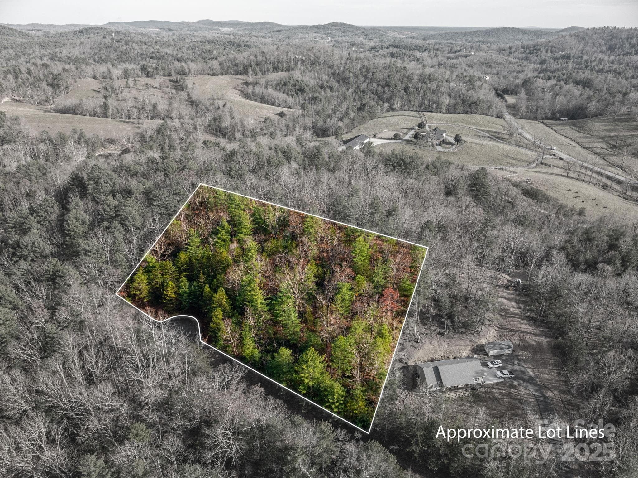 Lot at Lenoir, photo 2 of 21