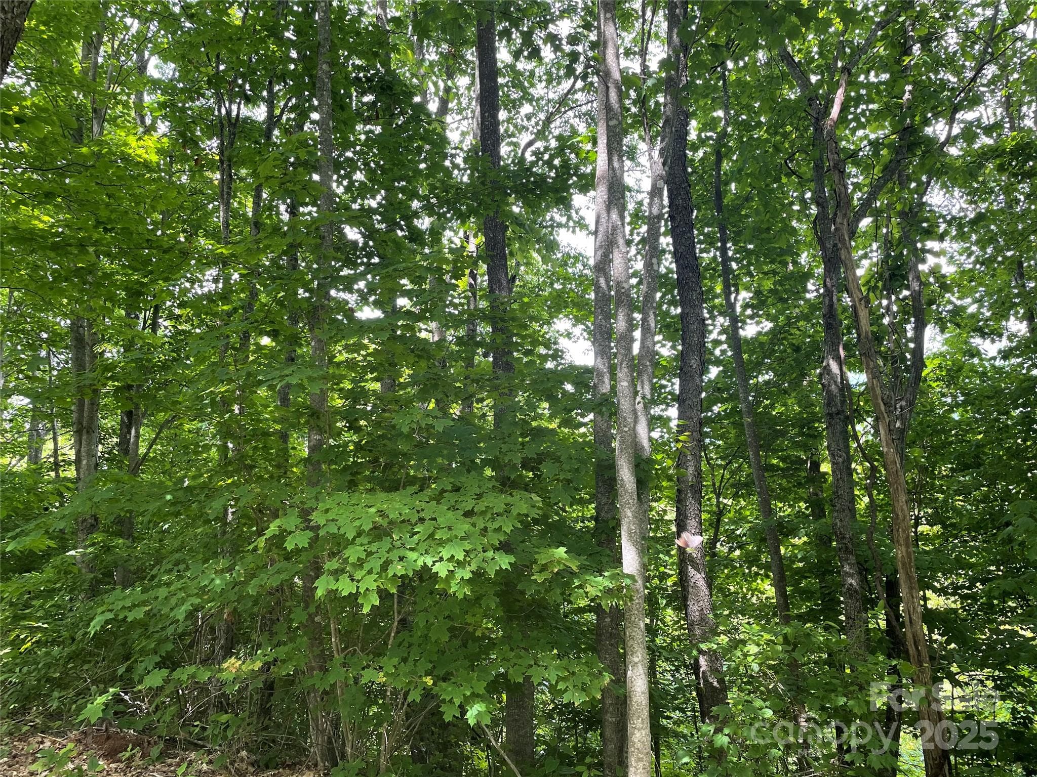 Lot at Sylva, photo 11 of 11
