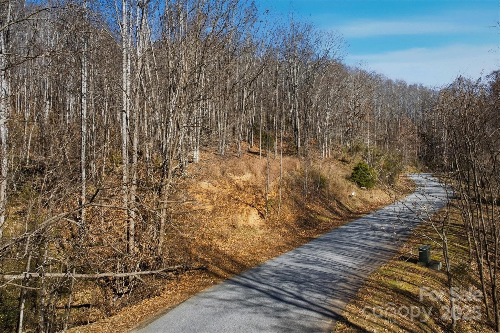 Acreage at Lenoir, photo 10 of 46