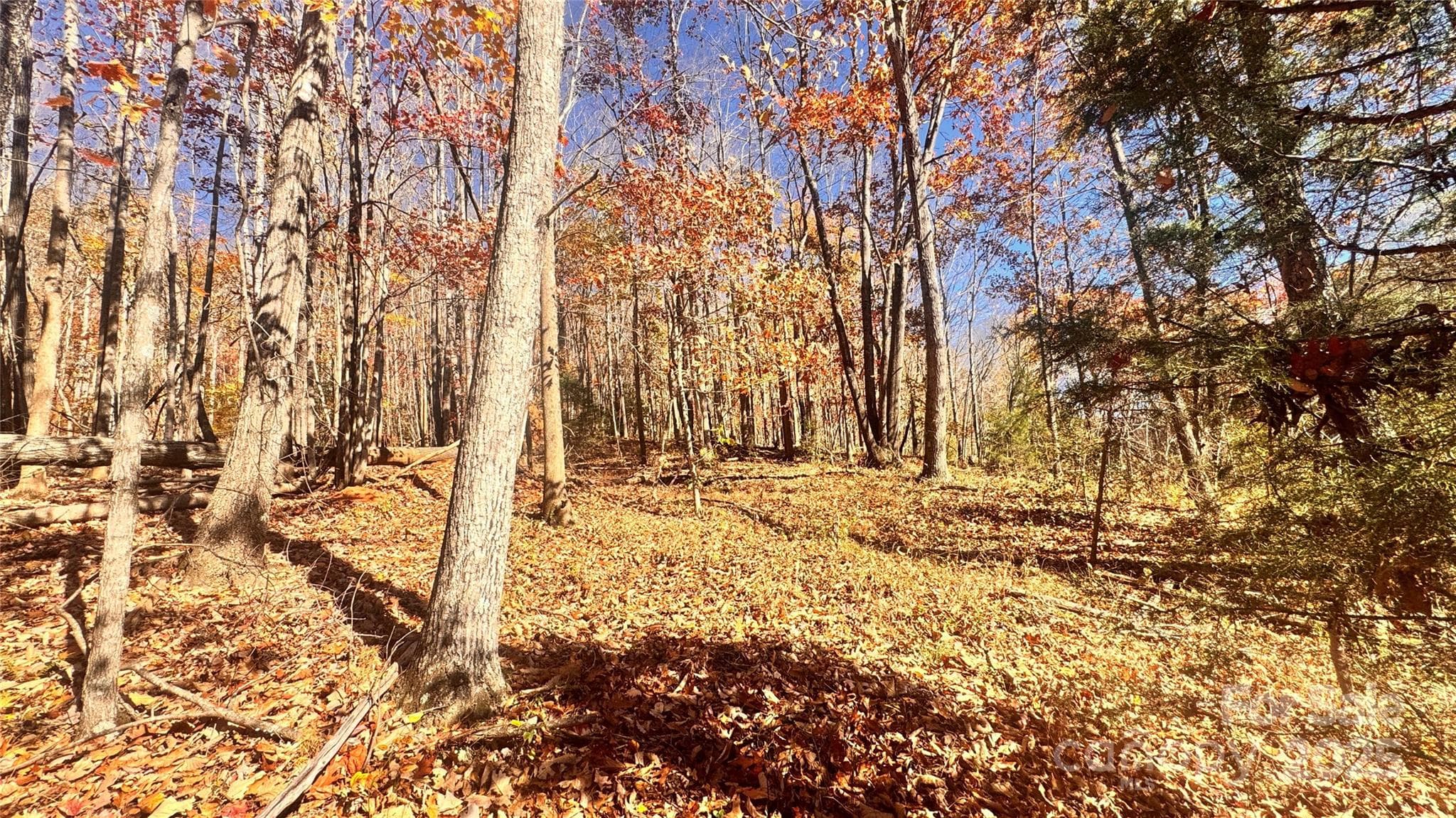 Acreage at Lenoir, photo 15 of 46
