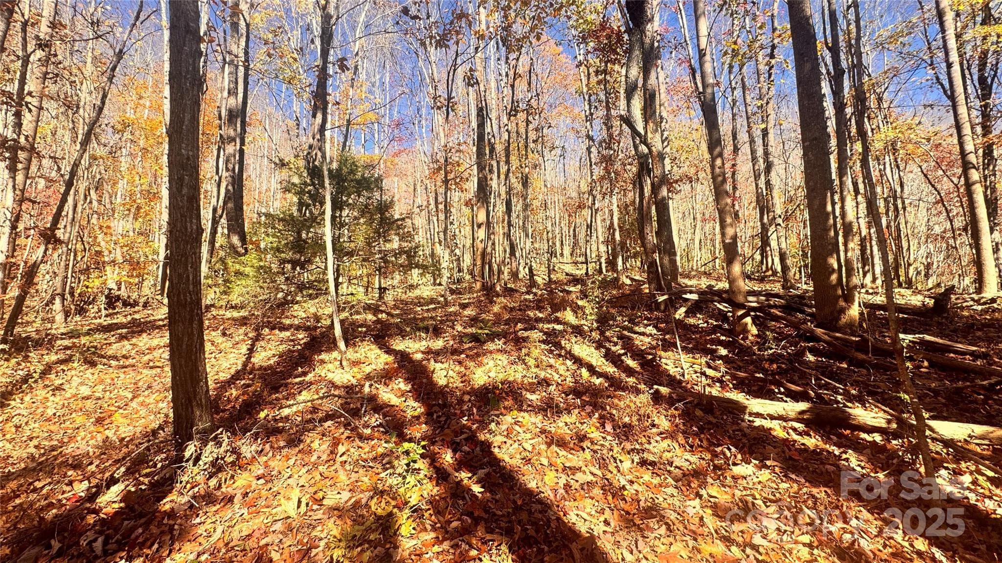 Acreage at Lenoir, photo 19 of 46