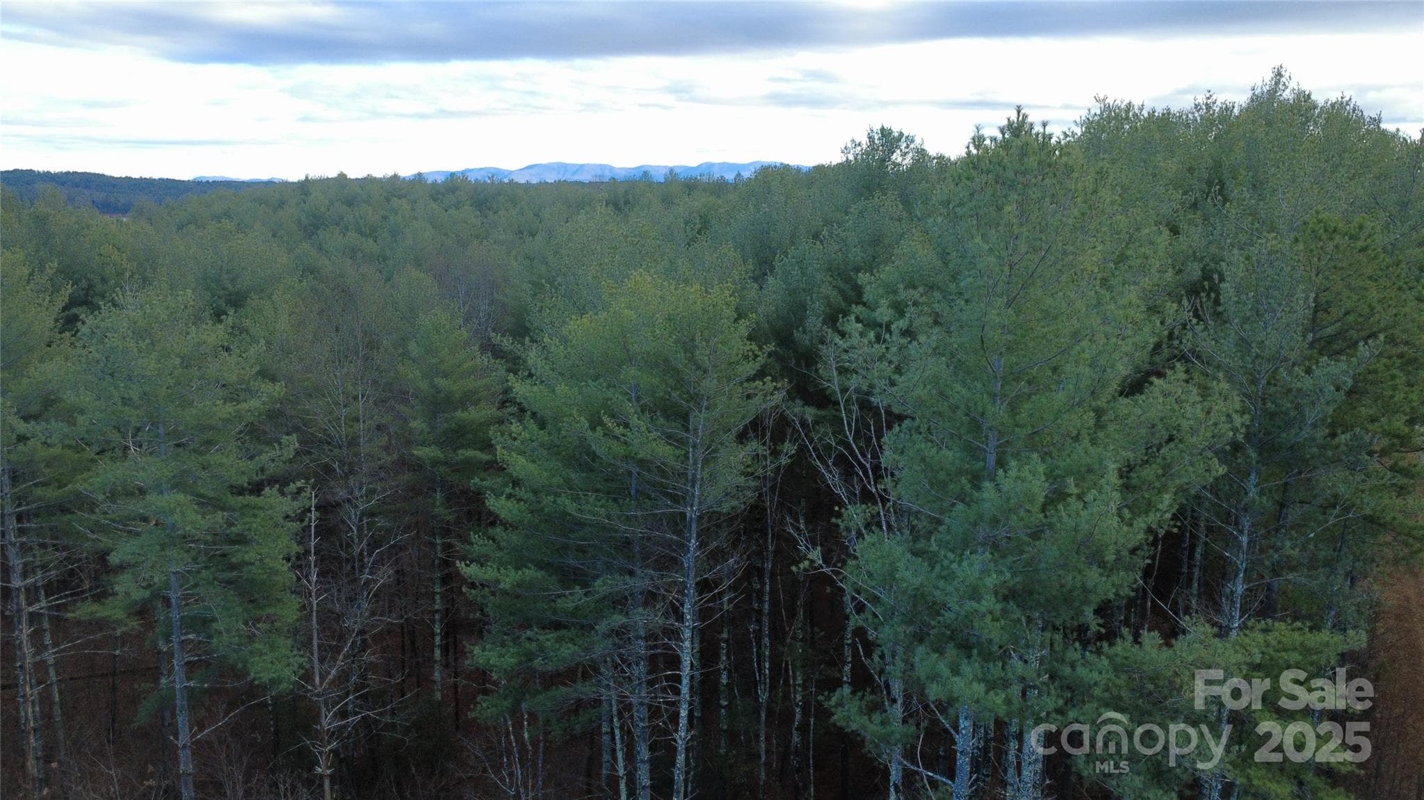 Lot at Nebo, photo 7 of 24