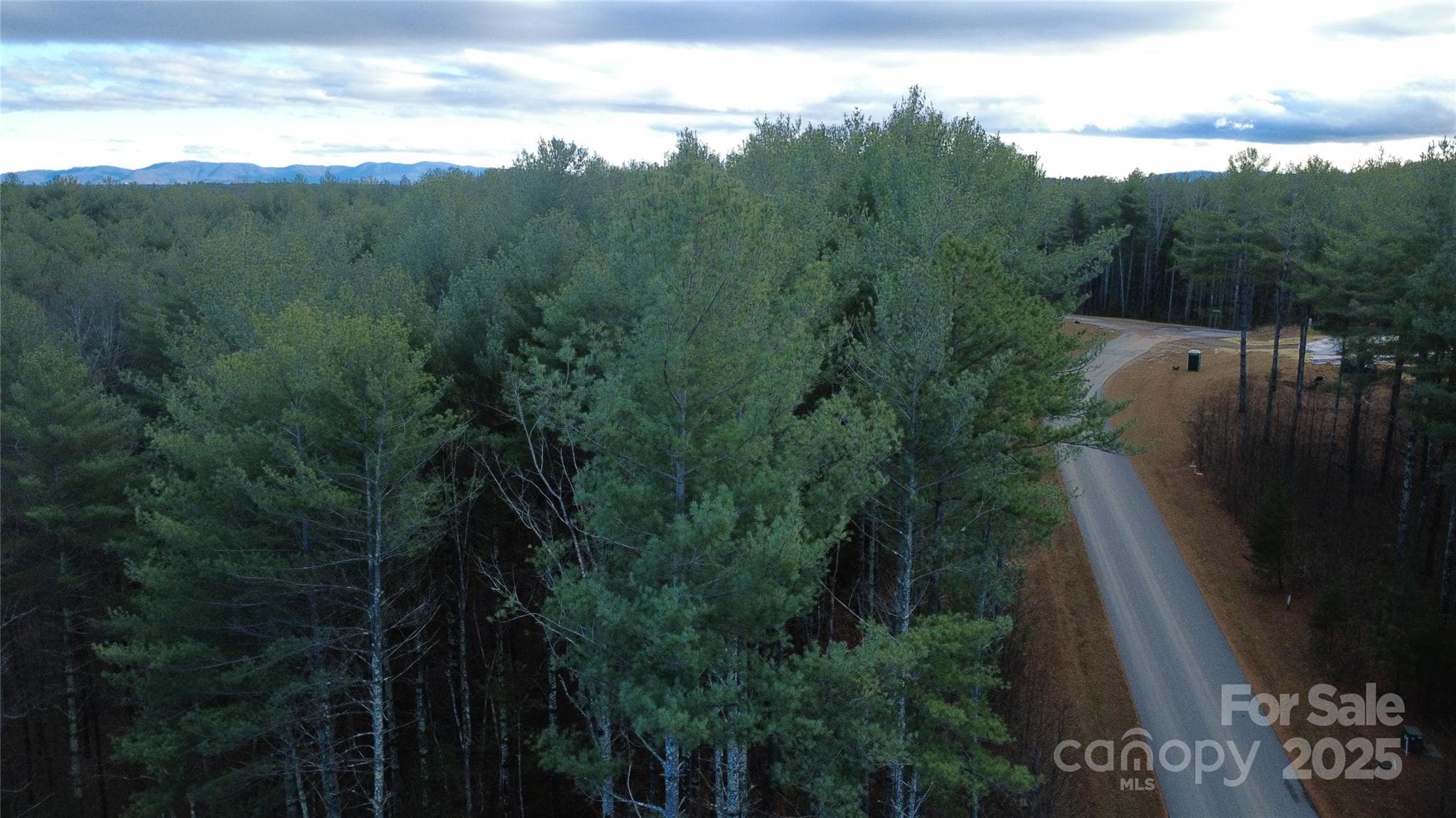 Lot at Nebo, photo 8 of 24