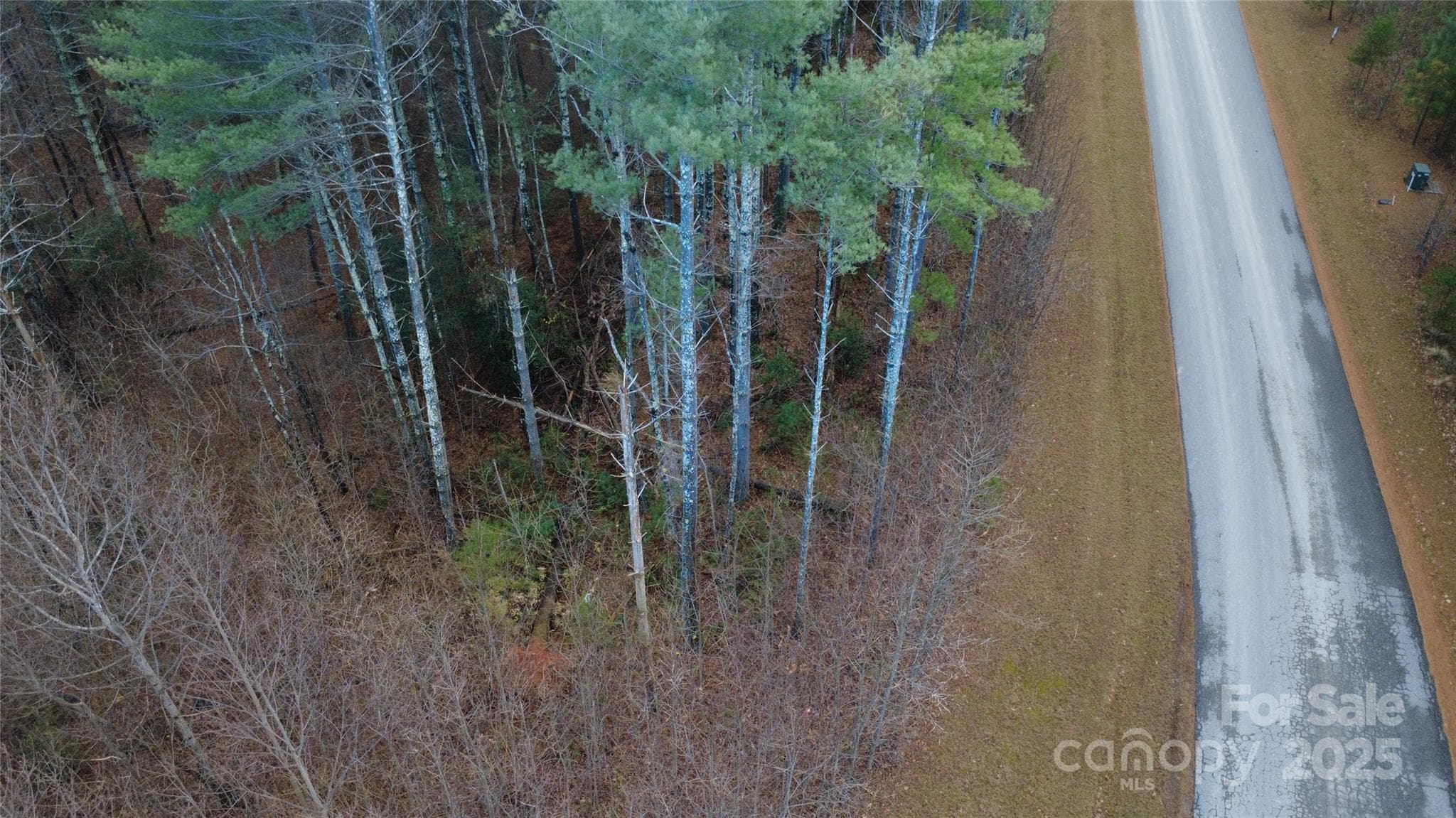 Lot at 597 Peninsula Reserve Road, Nebo, photo 9 of 24