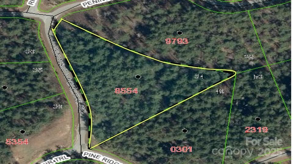 Lot at 597 Peninsula Reserve Road, Nebo, photo 11 of 24