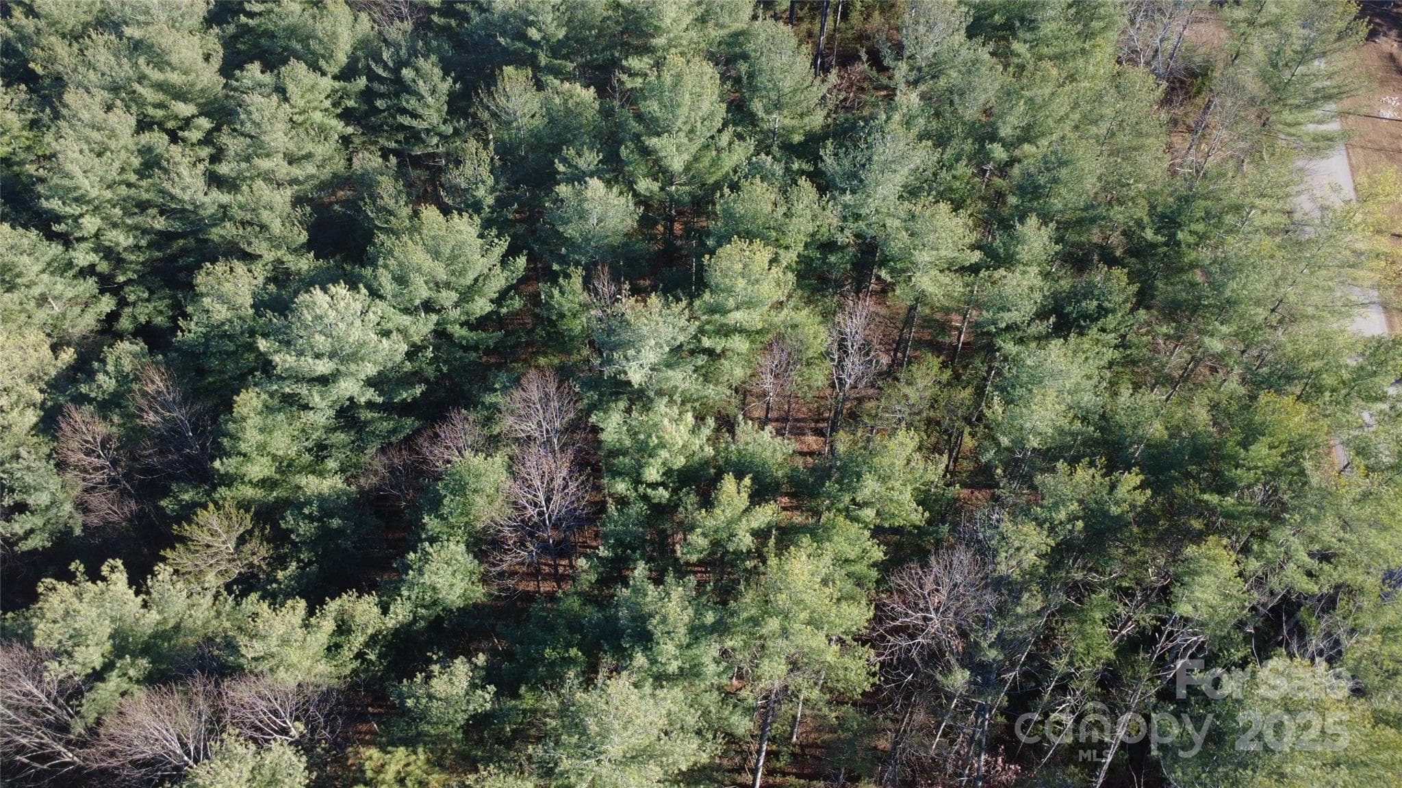 Lot at 597 Peninsula Reserve Road, Nebo, photo 13 of 24