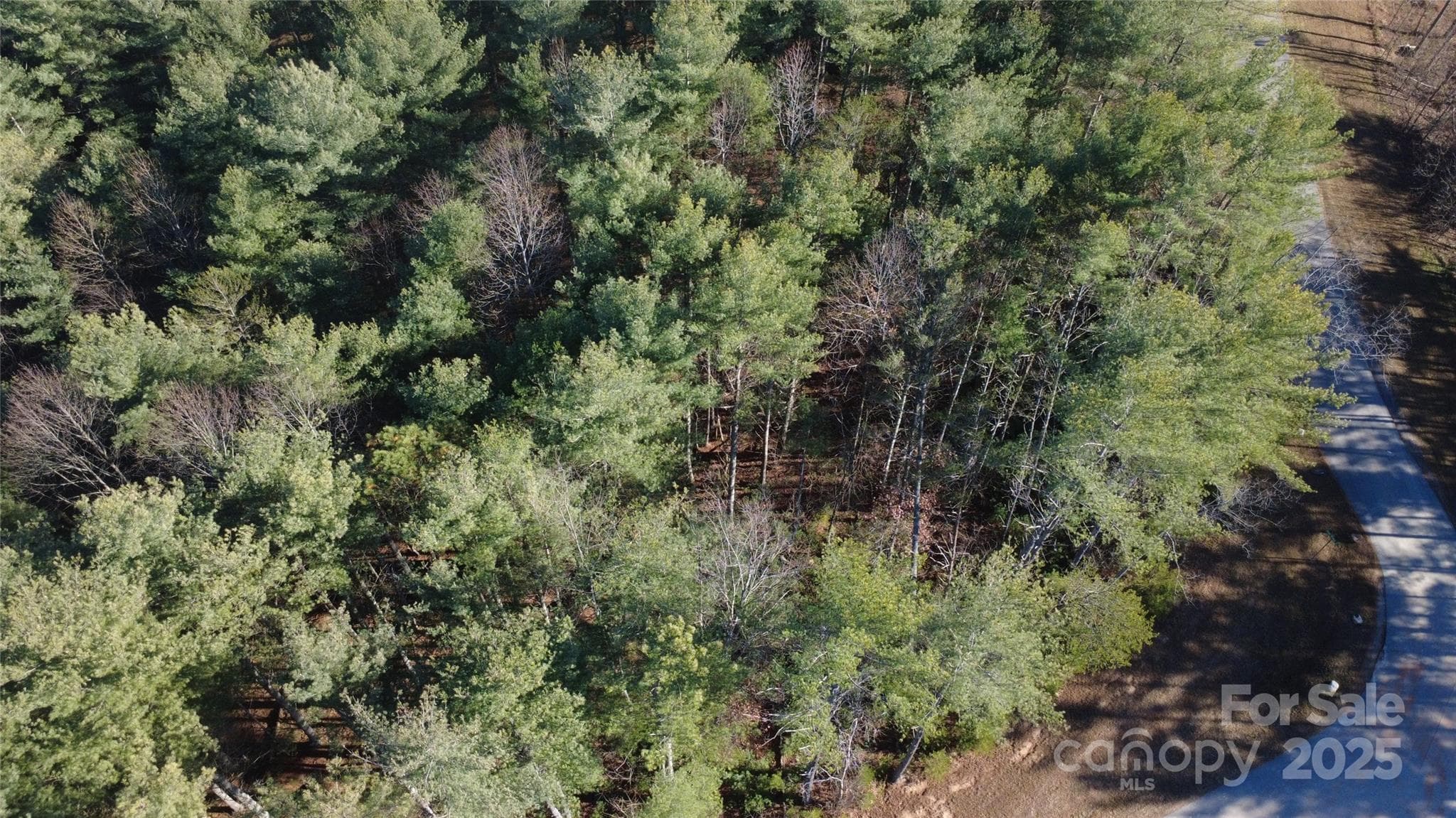 Lot at 597 Peninsula Reserve Road, Nebo, photo 14 of 24