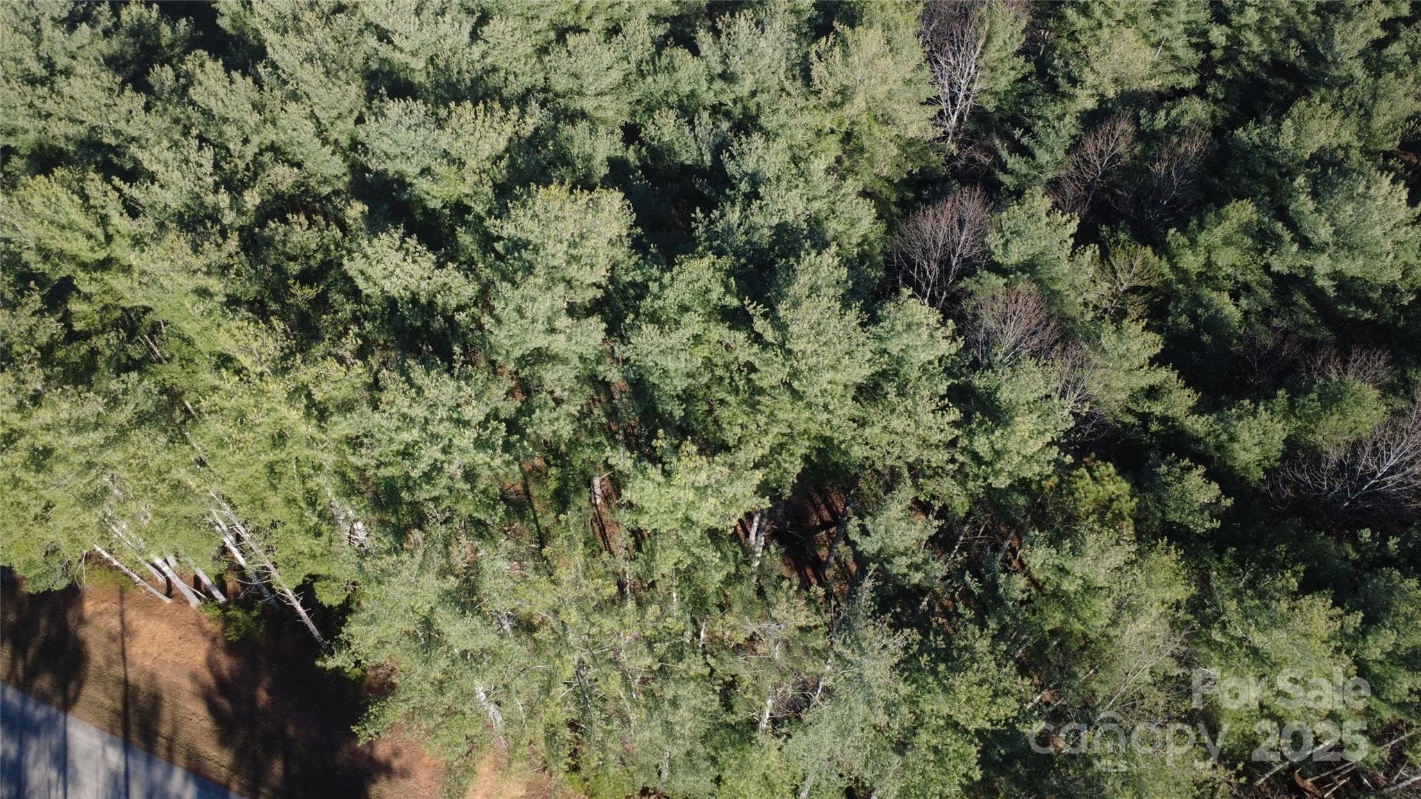 Lot at Nebo, photo 16 of 24
