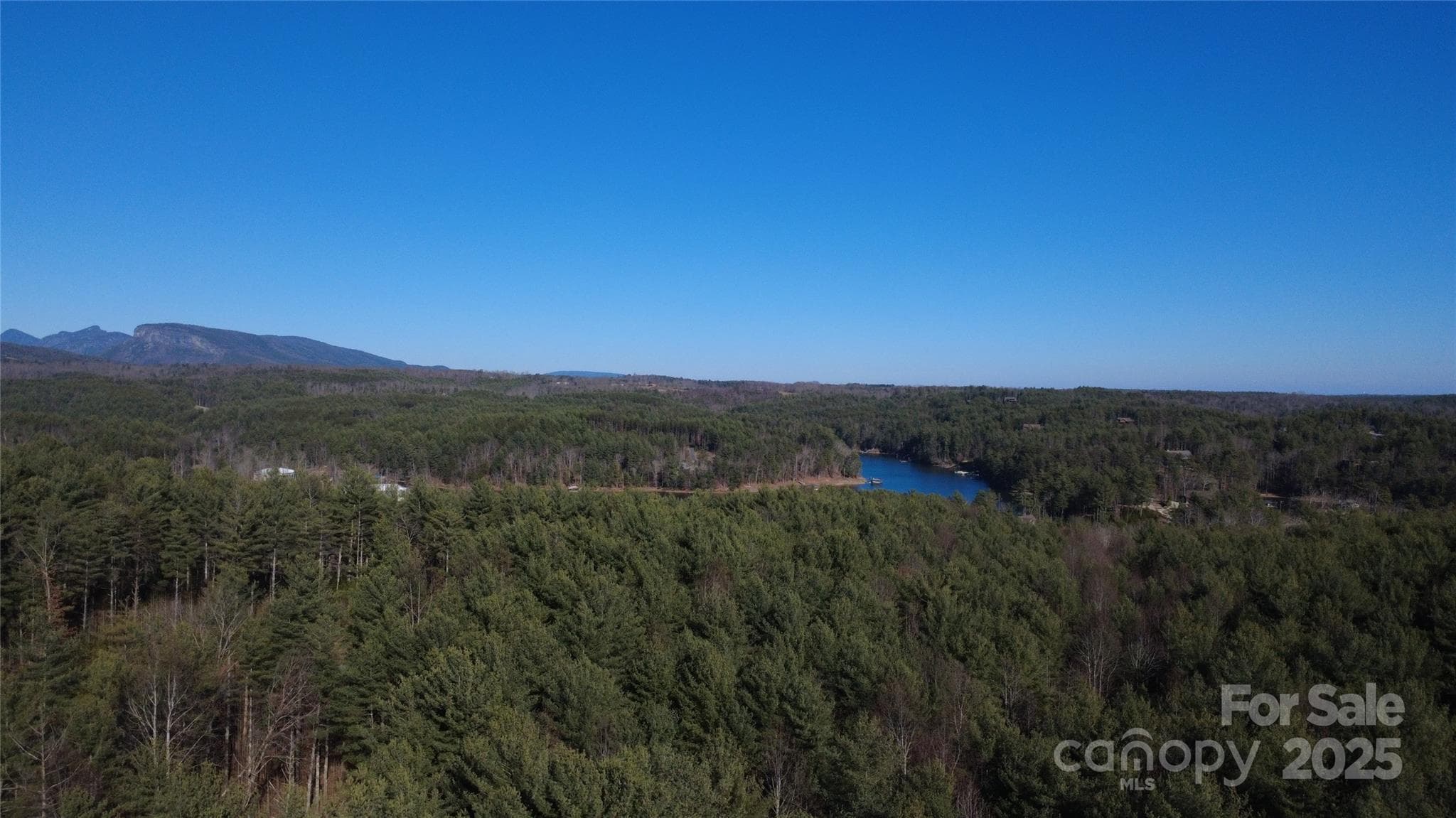 Lot at 597 Peninsula Reserve Road, Nebo, photo 17 of 24
