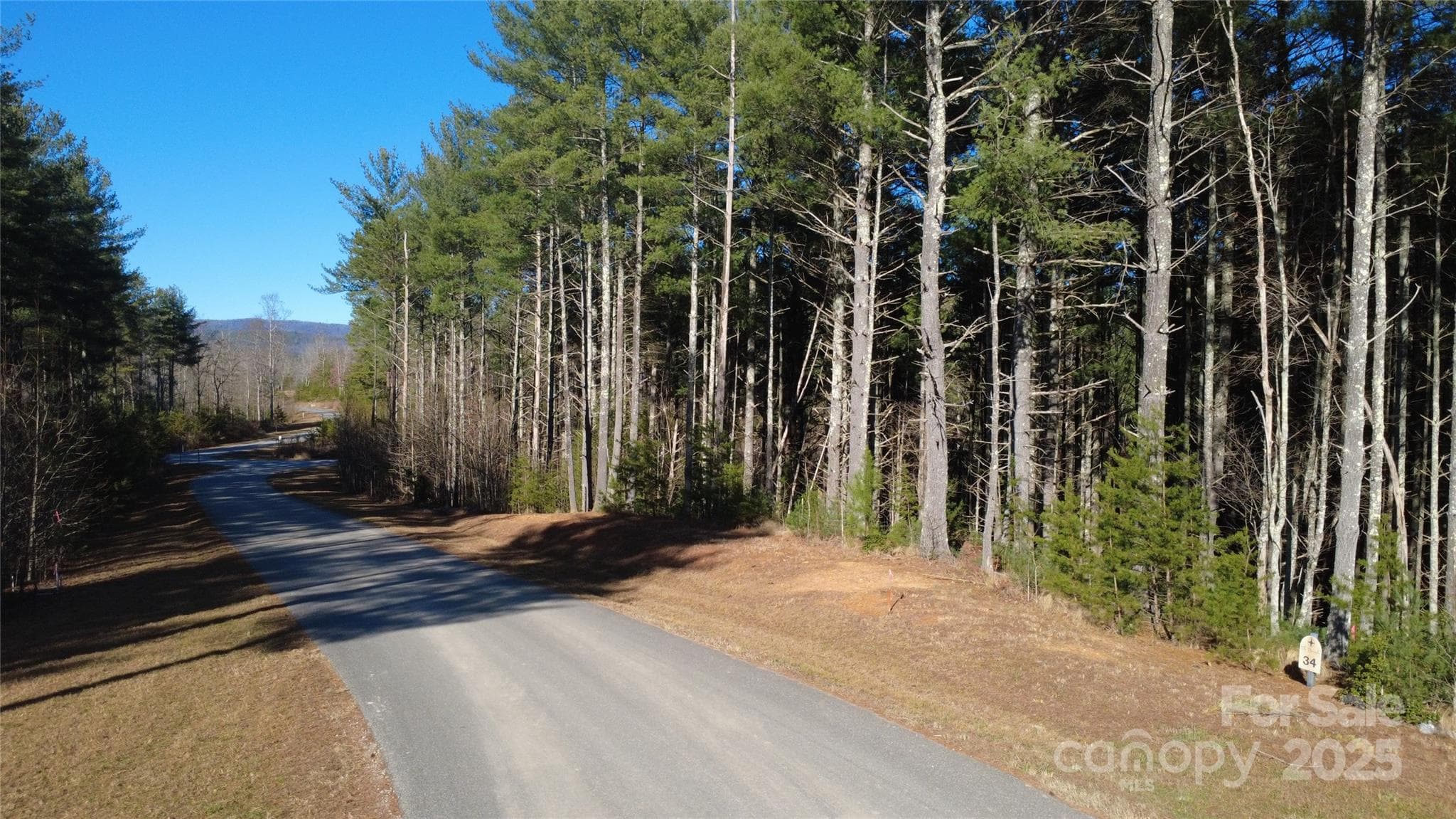 Lot at 597 Peninsula Reserve Road, Nebo, photo 18 of 24