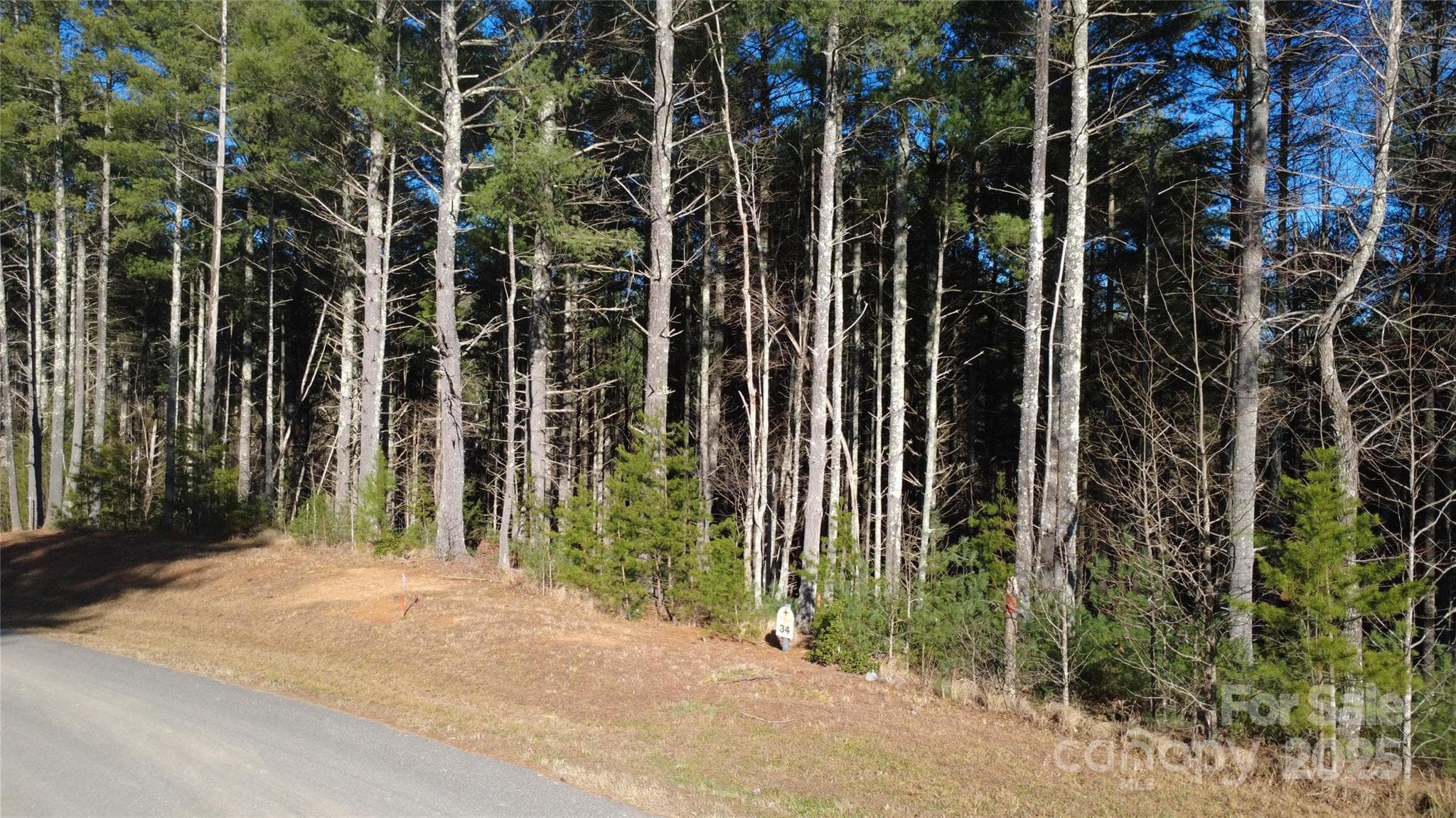 Lot at Nebo, photo 19 of 24