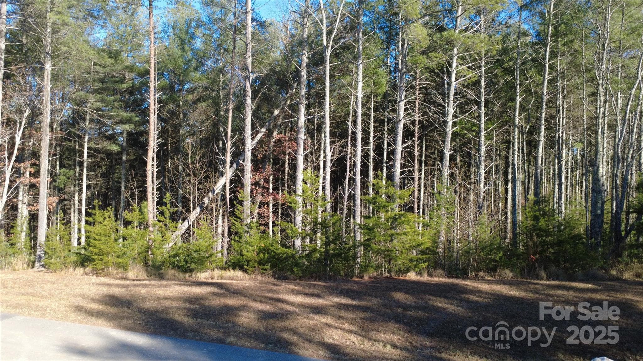 Lot at 597 Peninsula Reserve Road, Nebo, photo 20 of 24