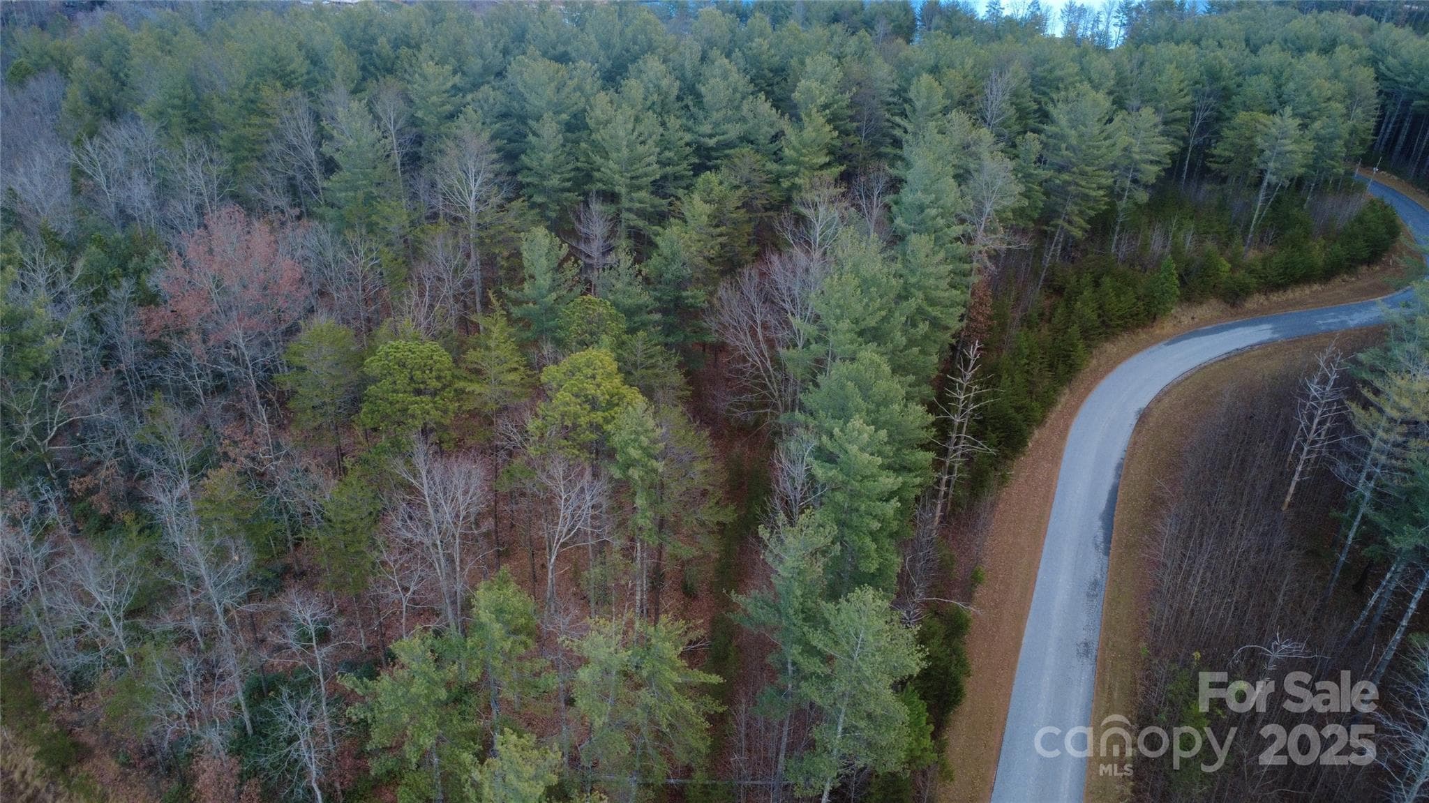 Lot at 597 Peninsula Reserve Road, Nebo, photo 22 of 24
