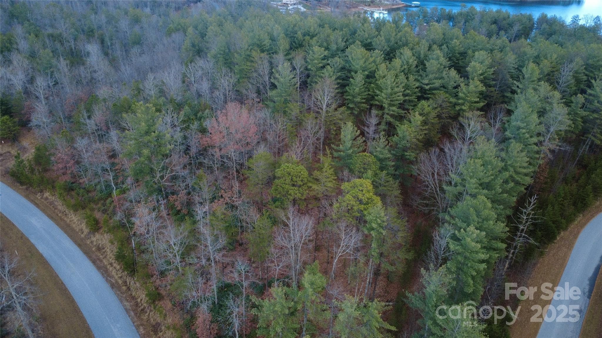 Lot at 597 Peninsula Reserve Road, Nebo, photo 23 of 24