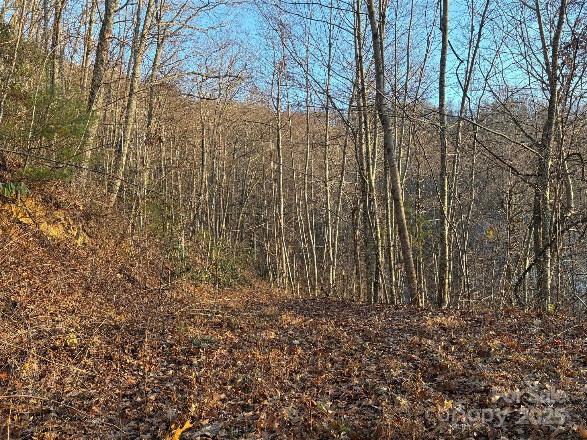 Lot at 899 Hyacinth Drive, Clyde, photo 4 of 29