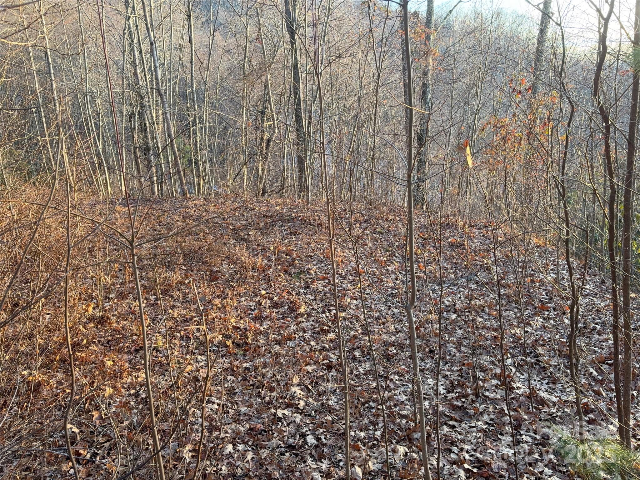 Lot at 899 Hyacinth Drive, Clyde, photo 7 of 29