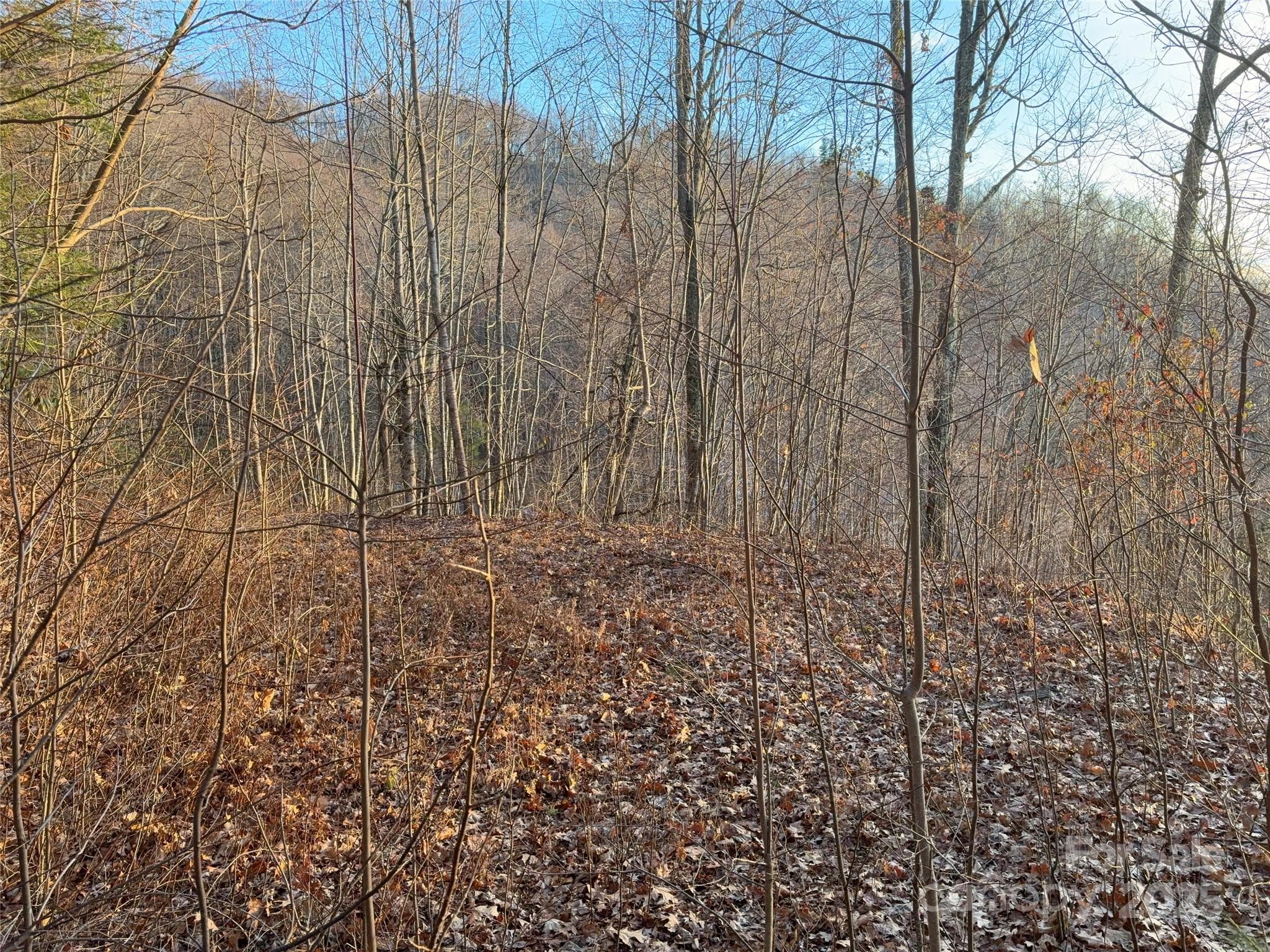 Lot at 899 Hyacinth Drive, Clyde, photo 8 of 29