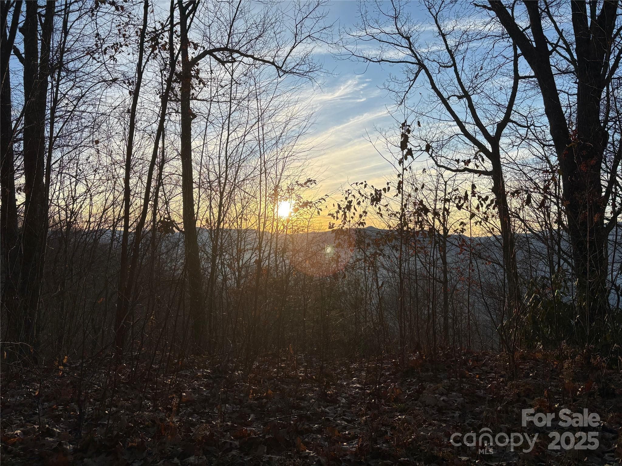 Lot at 899 Hyacinth Drive, Clyde, photo 9 of 29