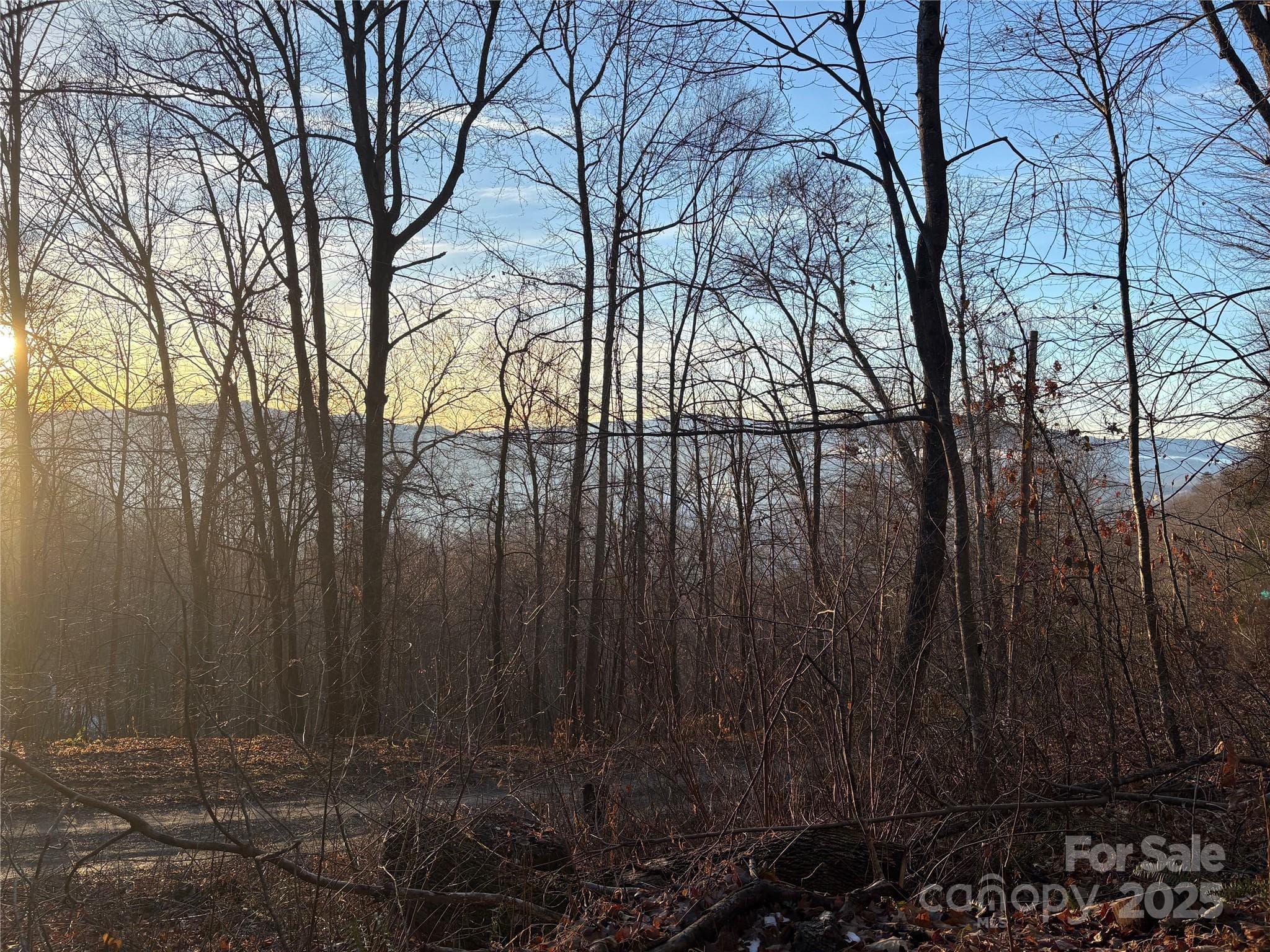 Lot at 899 Hyacinth Drive, Clyde, photo 10 of 29