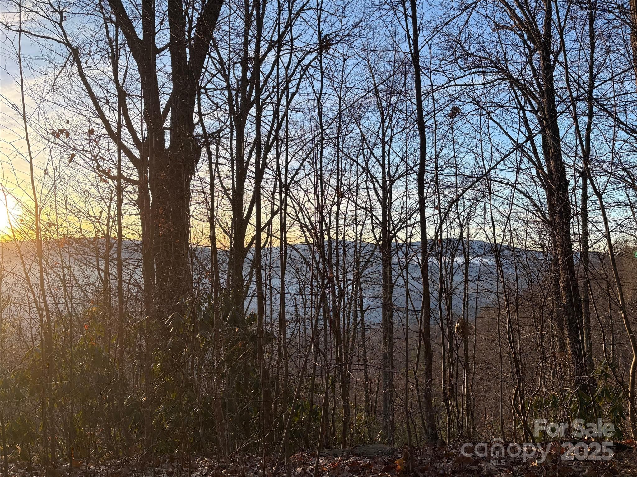Lot at Clyde, photo 13 of 29