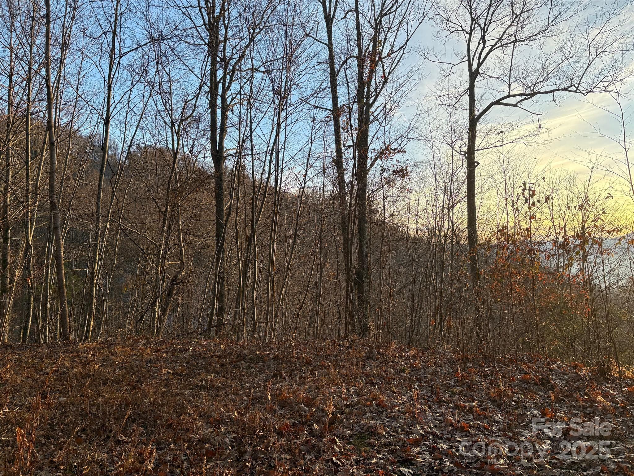 Lot at 899 Hyacinth Drive, Clyde, photo 17 of 29