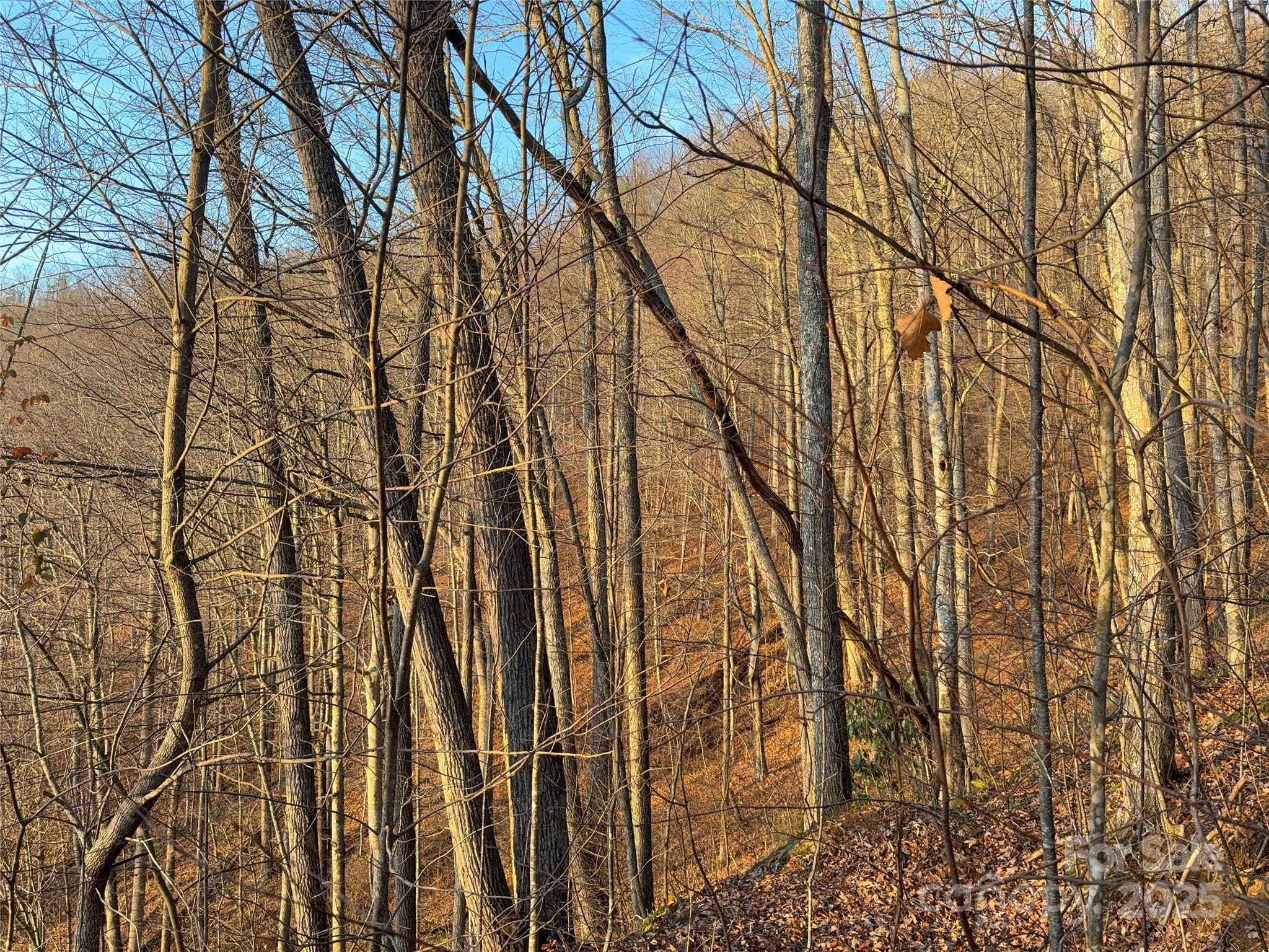 Lot at Clyde, photo 20 of 29