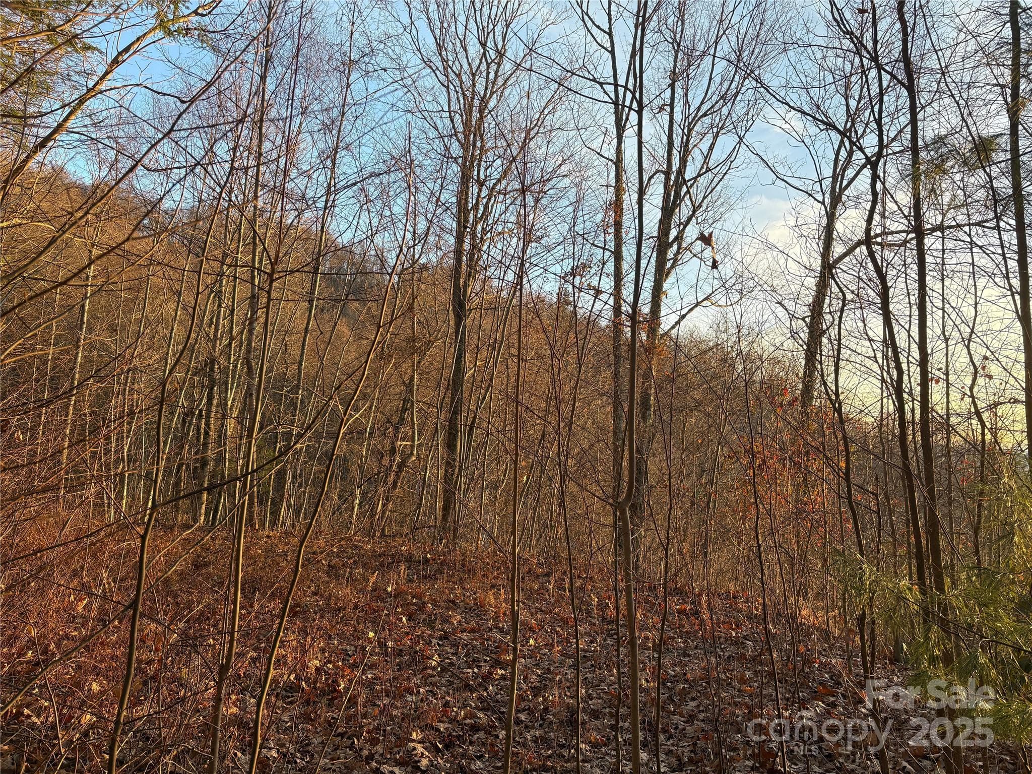 Lot at 899 Hyacinth Drive, Clyde, photo 21 of 29