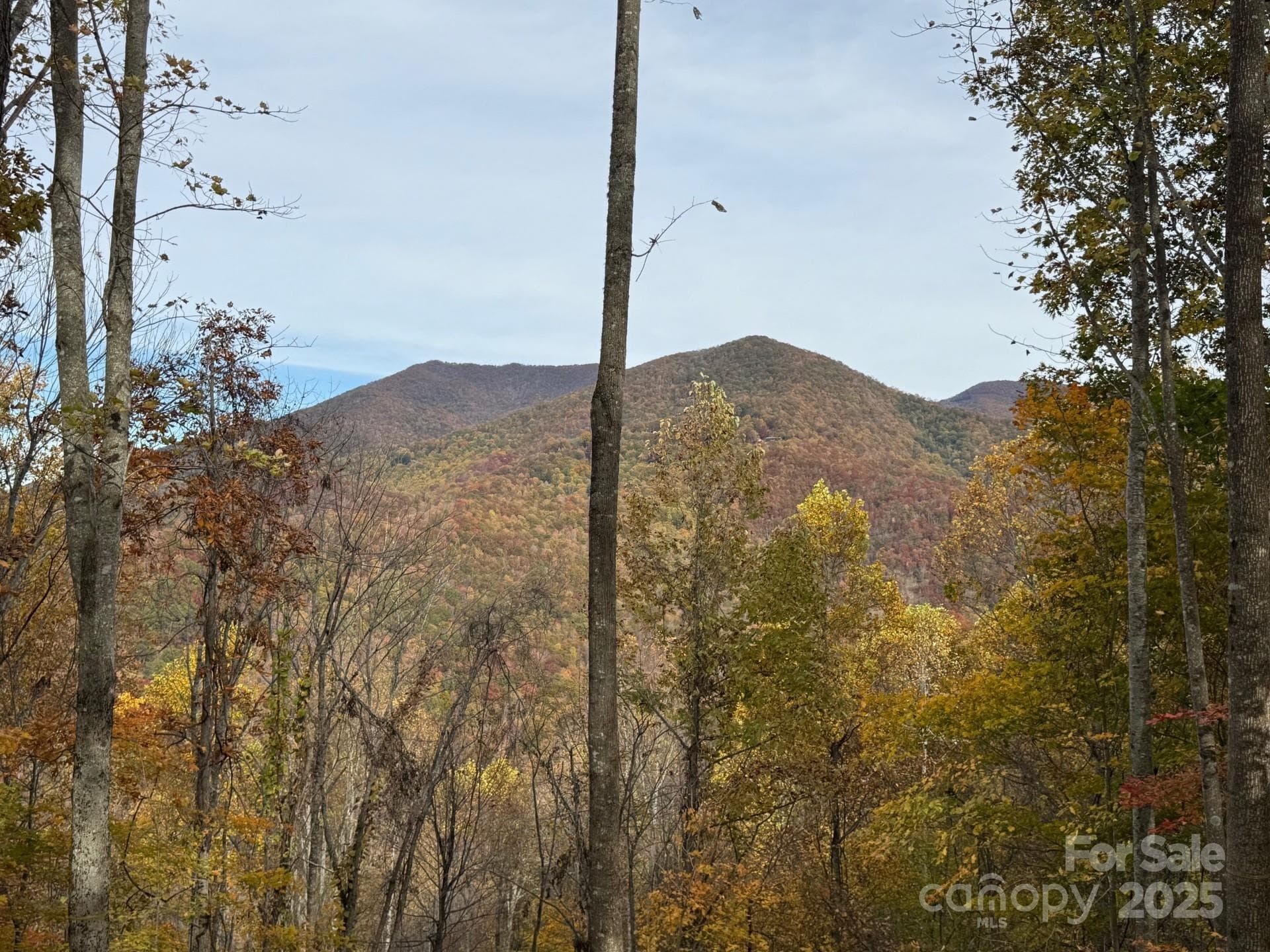 Lot at Sylva, photo 2 of 11
