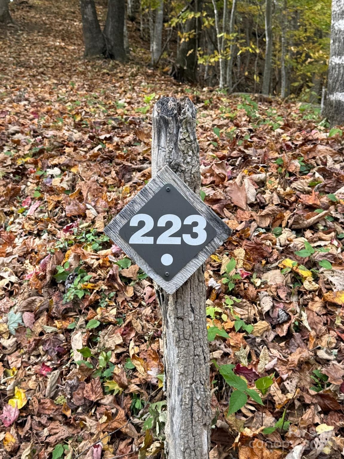 Lot at Sylva, photo 3 of 11