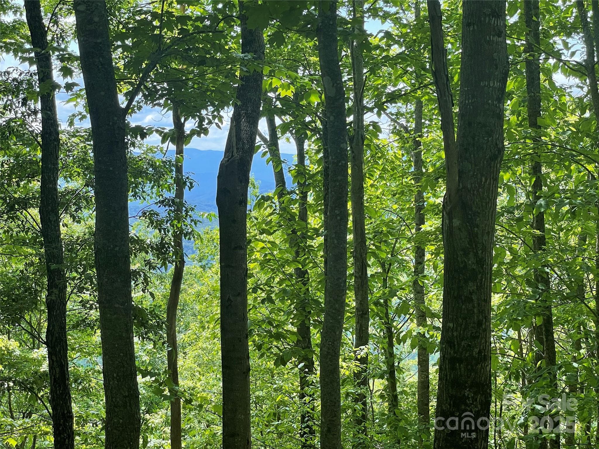 Lot at Sylva, photo 4 of 11